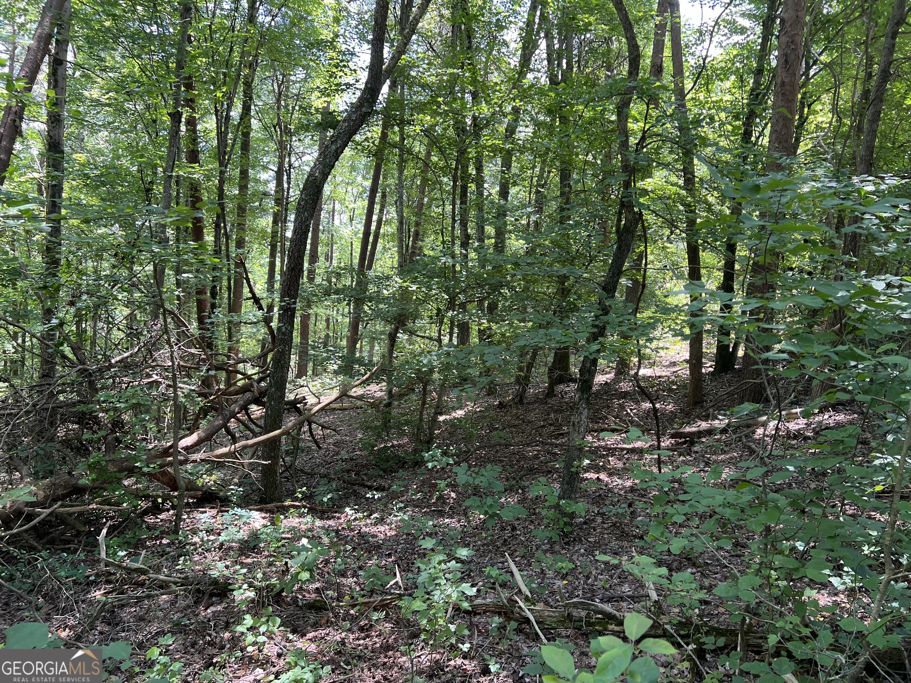 0 Lavender Trail Property Photo 4
