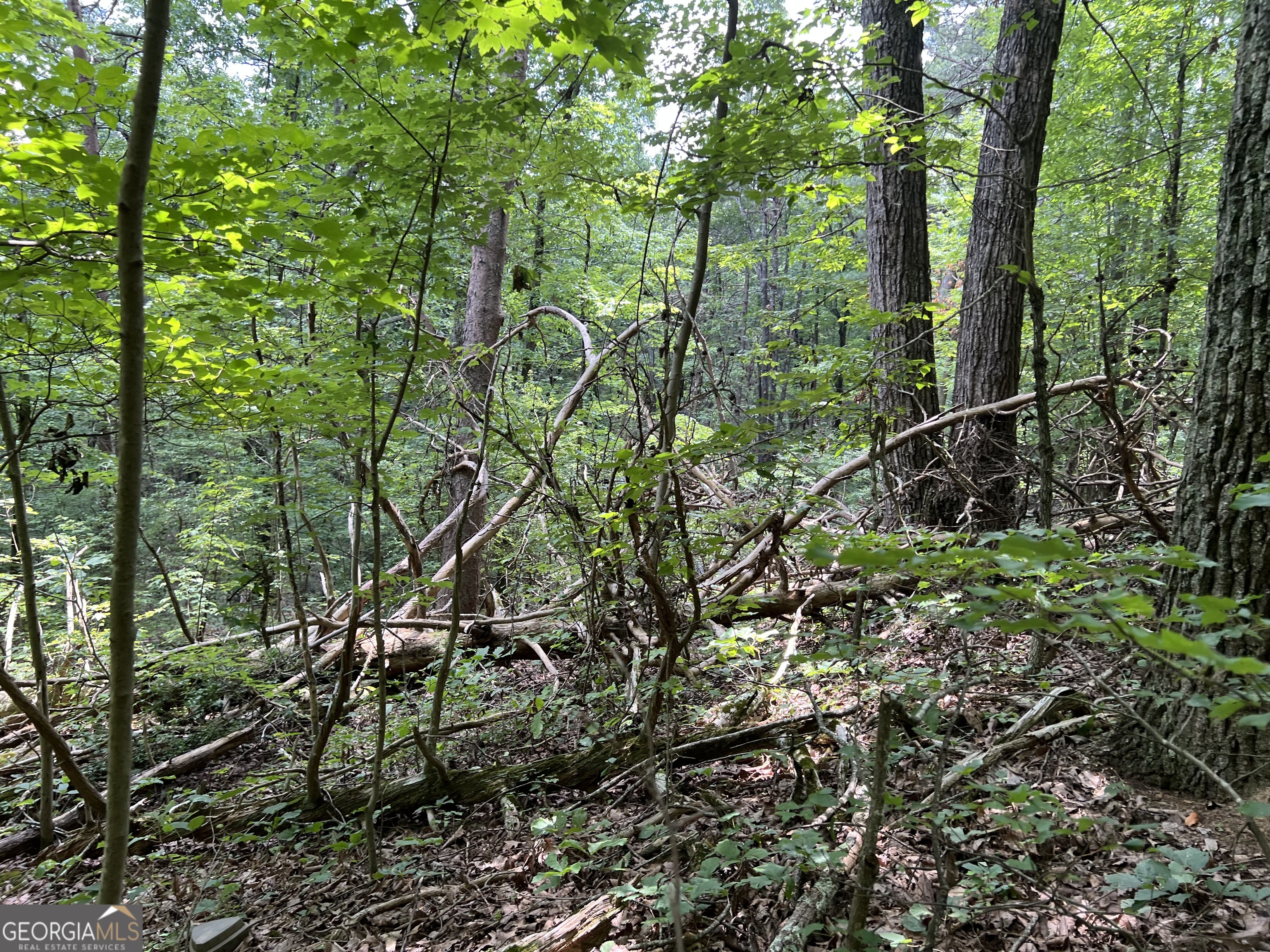 0 Lavender Trail Property Photo 5