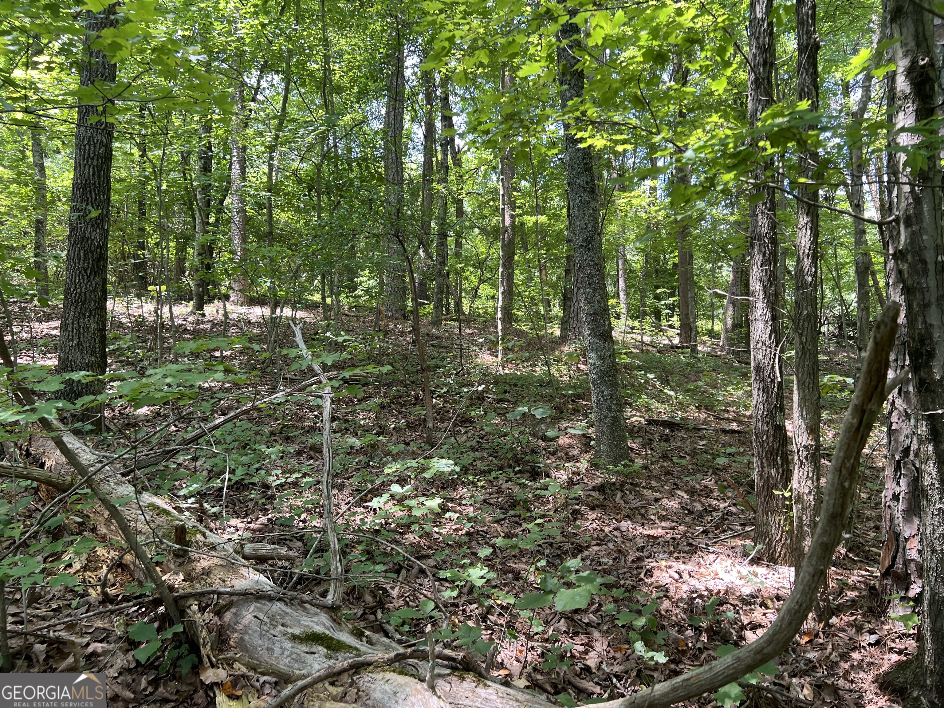 0 Lavender Trail Property Photo 7