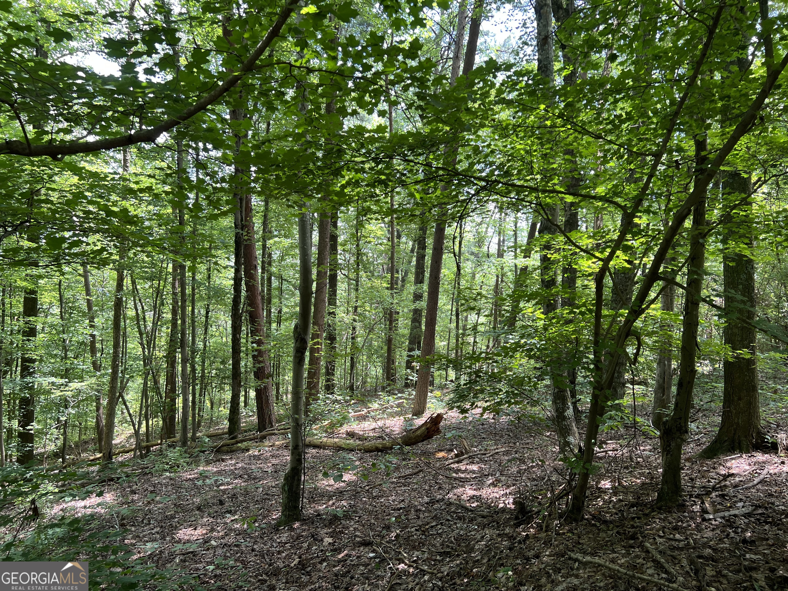 0 Lavender Trail Property Photo 9