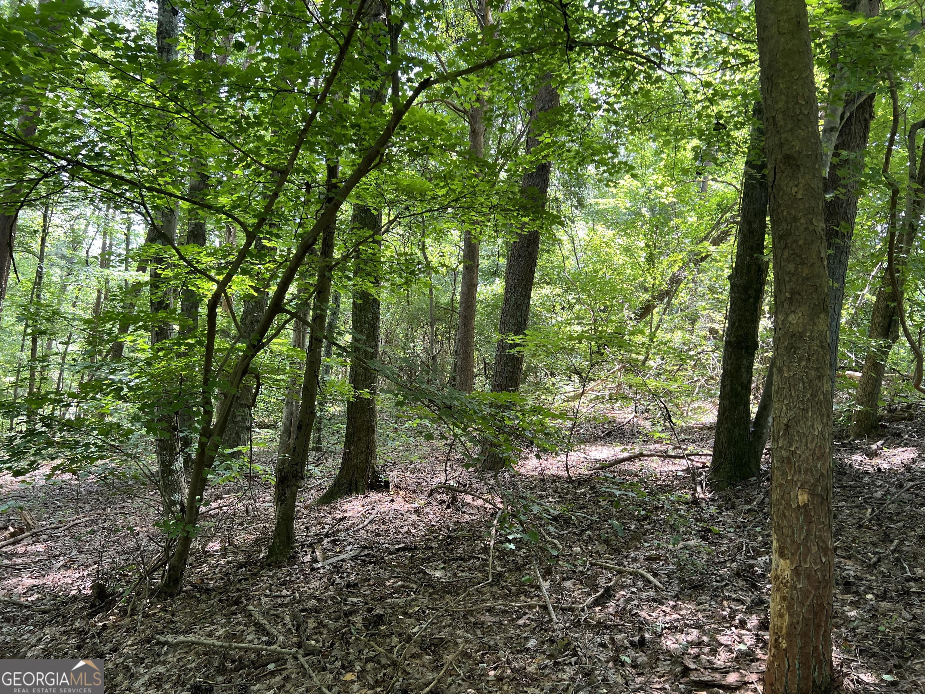 0 Lavender Trail Property Photo 10