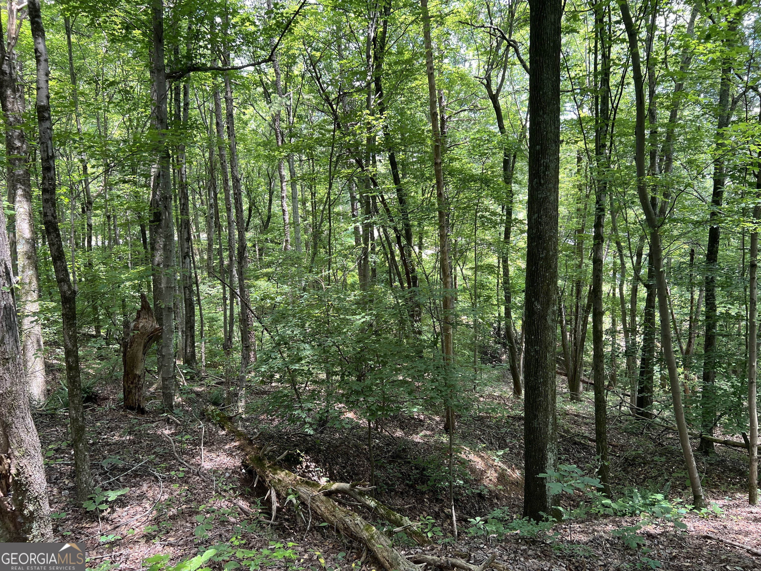 0 Lavender Trail Property Photo 12