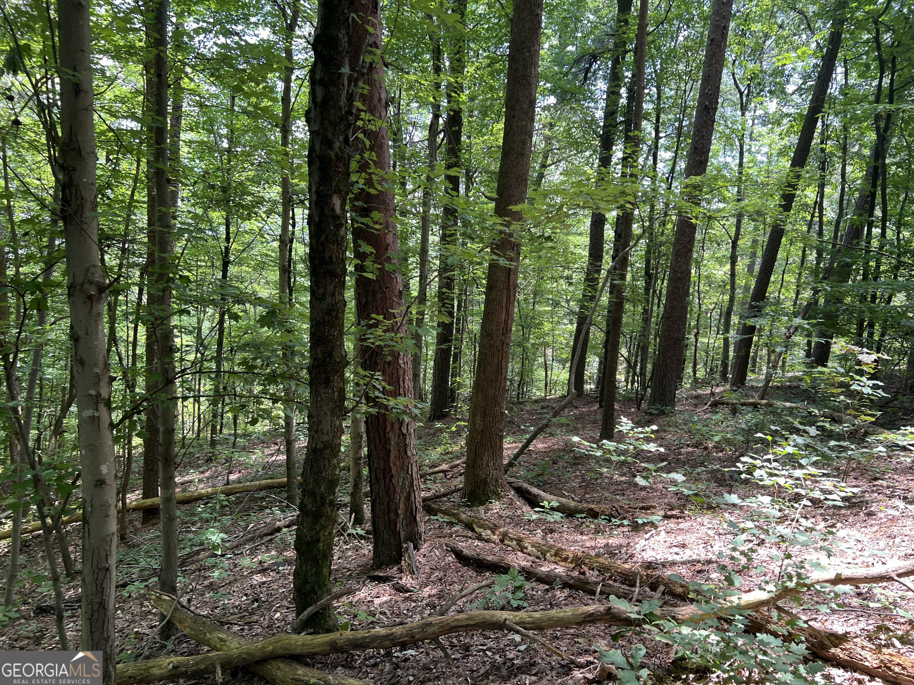 0 Lavender Trail Property Photo 14
