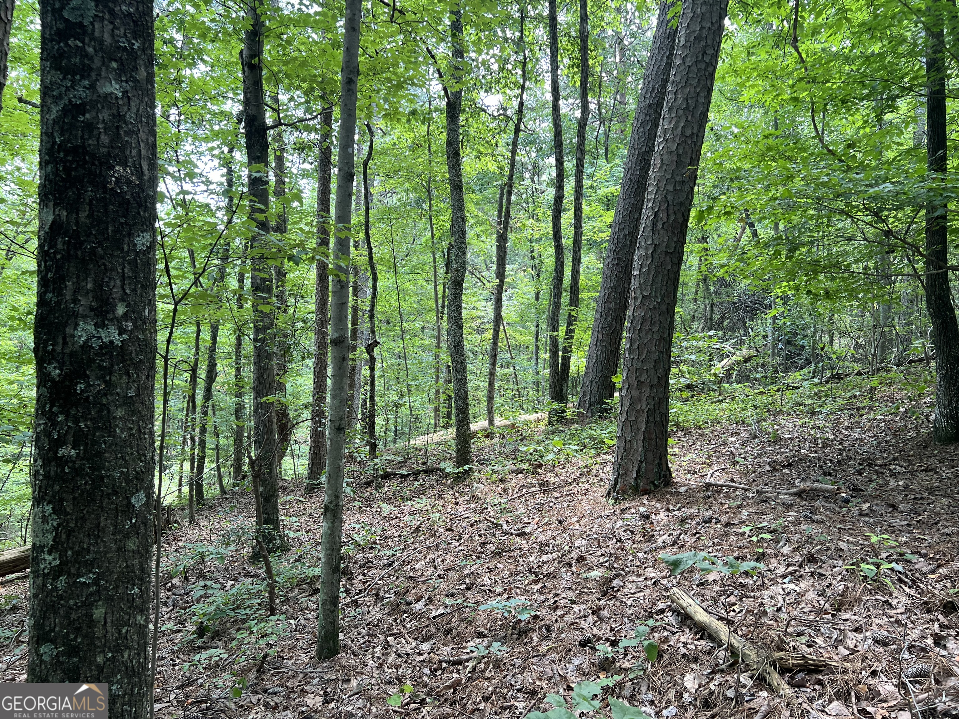0 Lavender Trail Property Photo 16