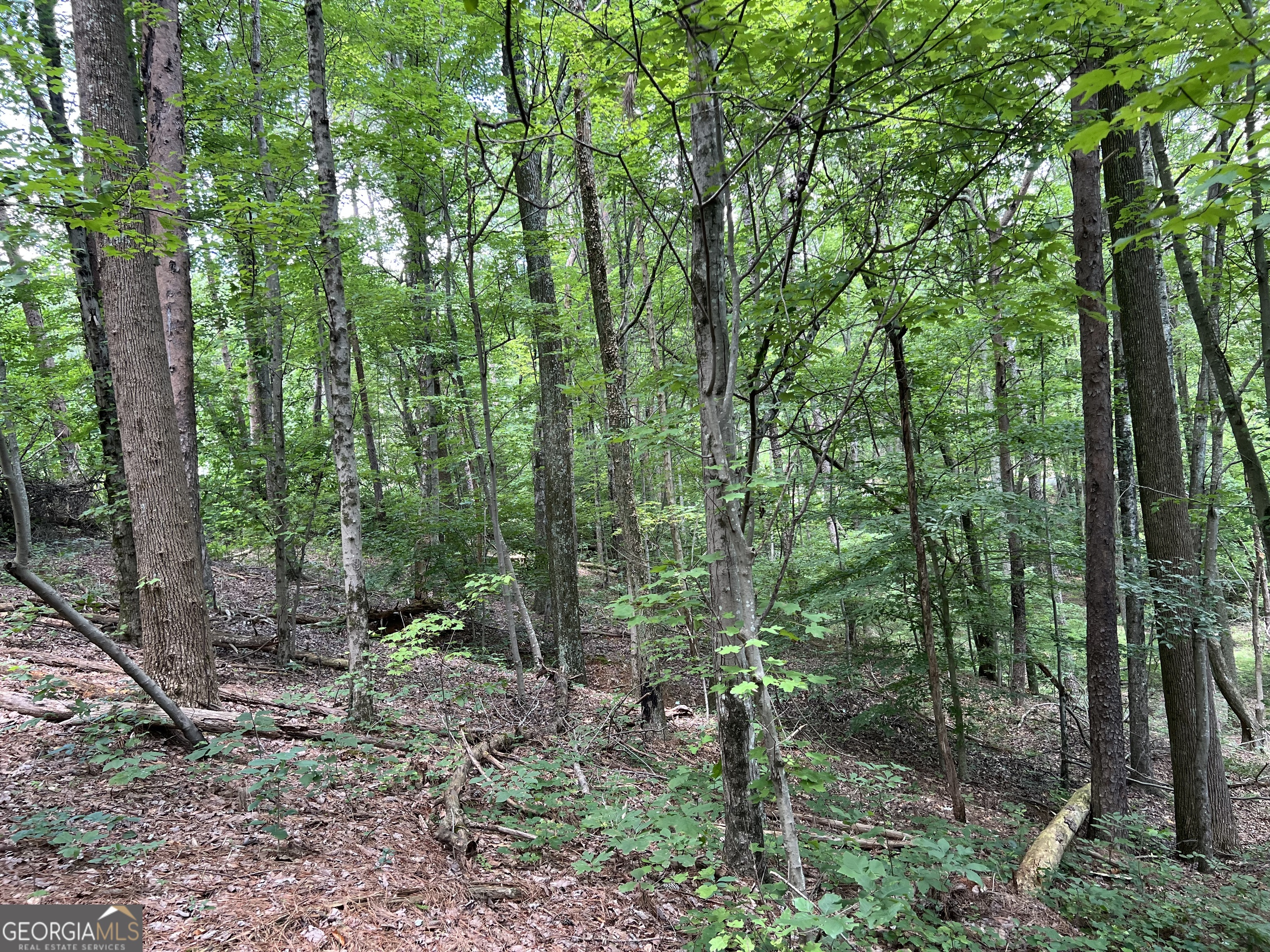 0 Lavender Trail Property Photo 17