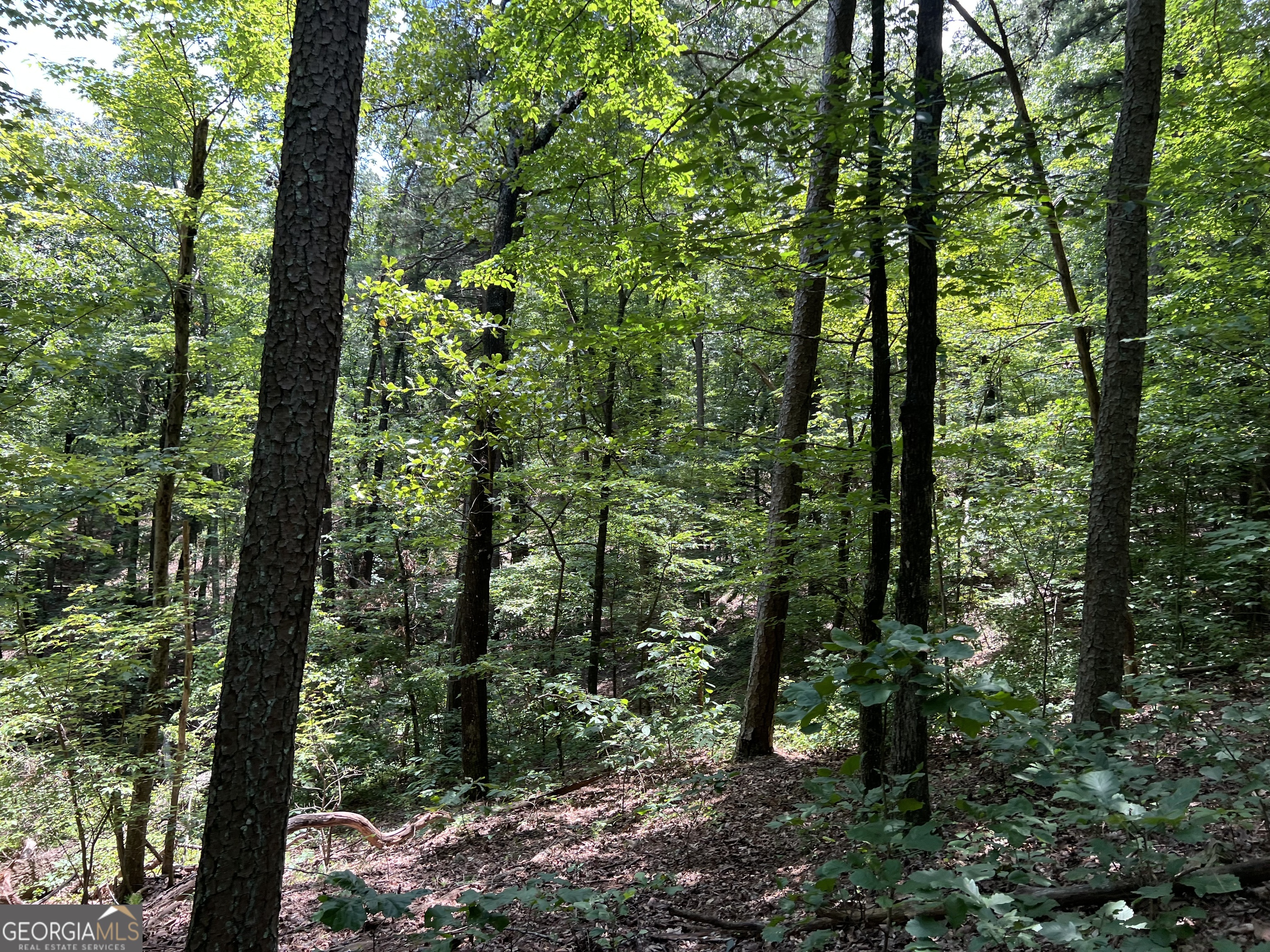 0 Lavender Trail Property Photo 18