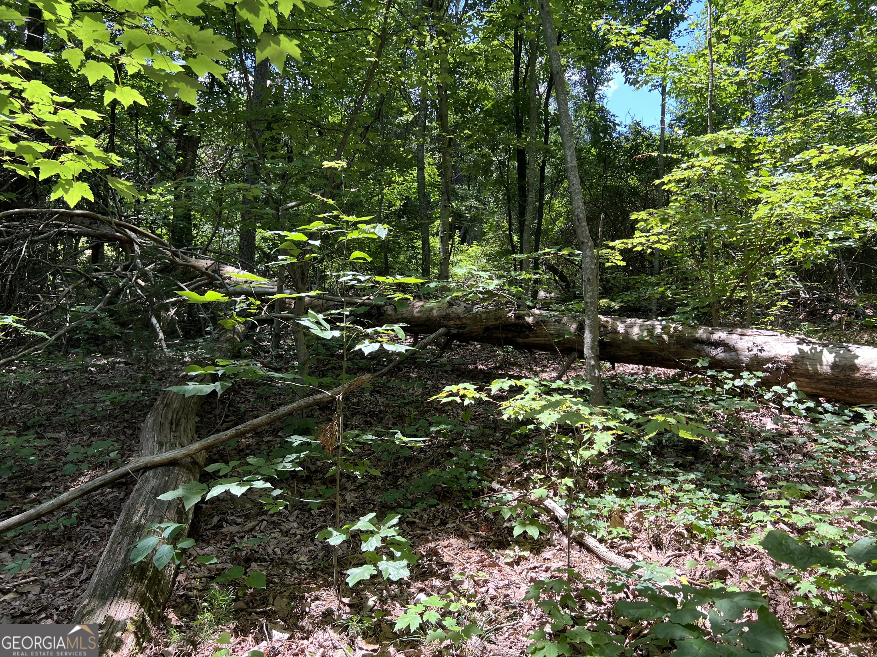 0 Lavender Trail Property Photo 19