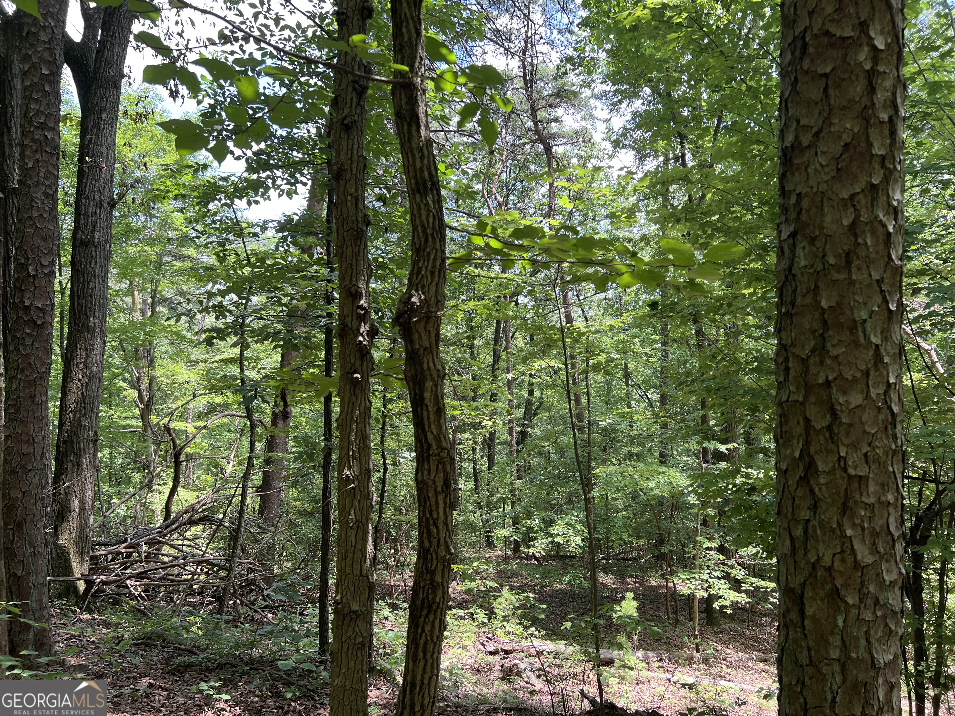 0 Lavender Trail Property Photo 20