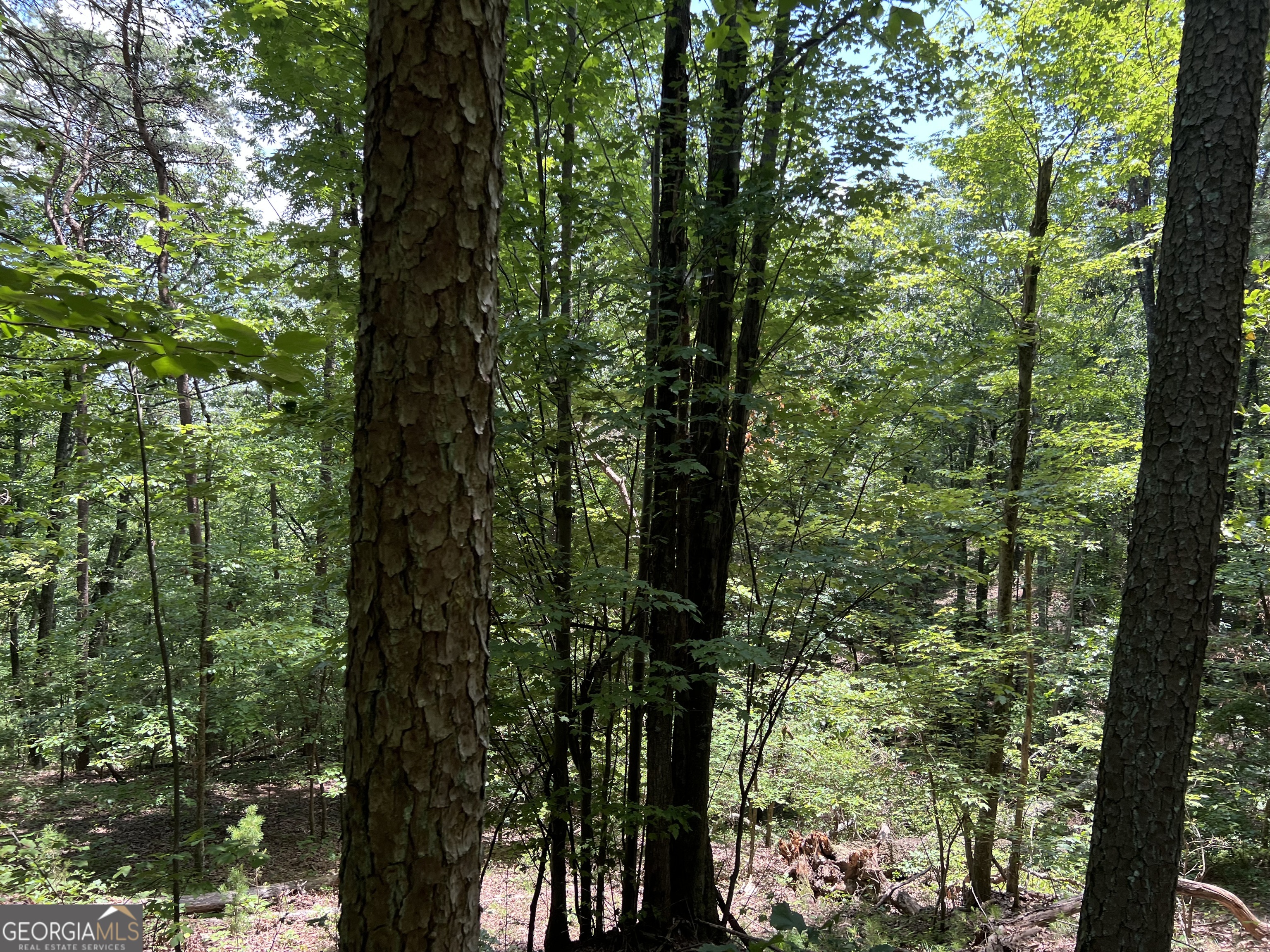 0 Lavender Trail Property Photo 21
