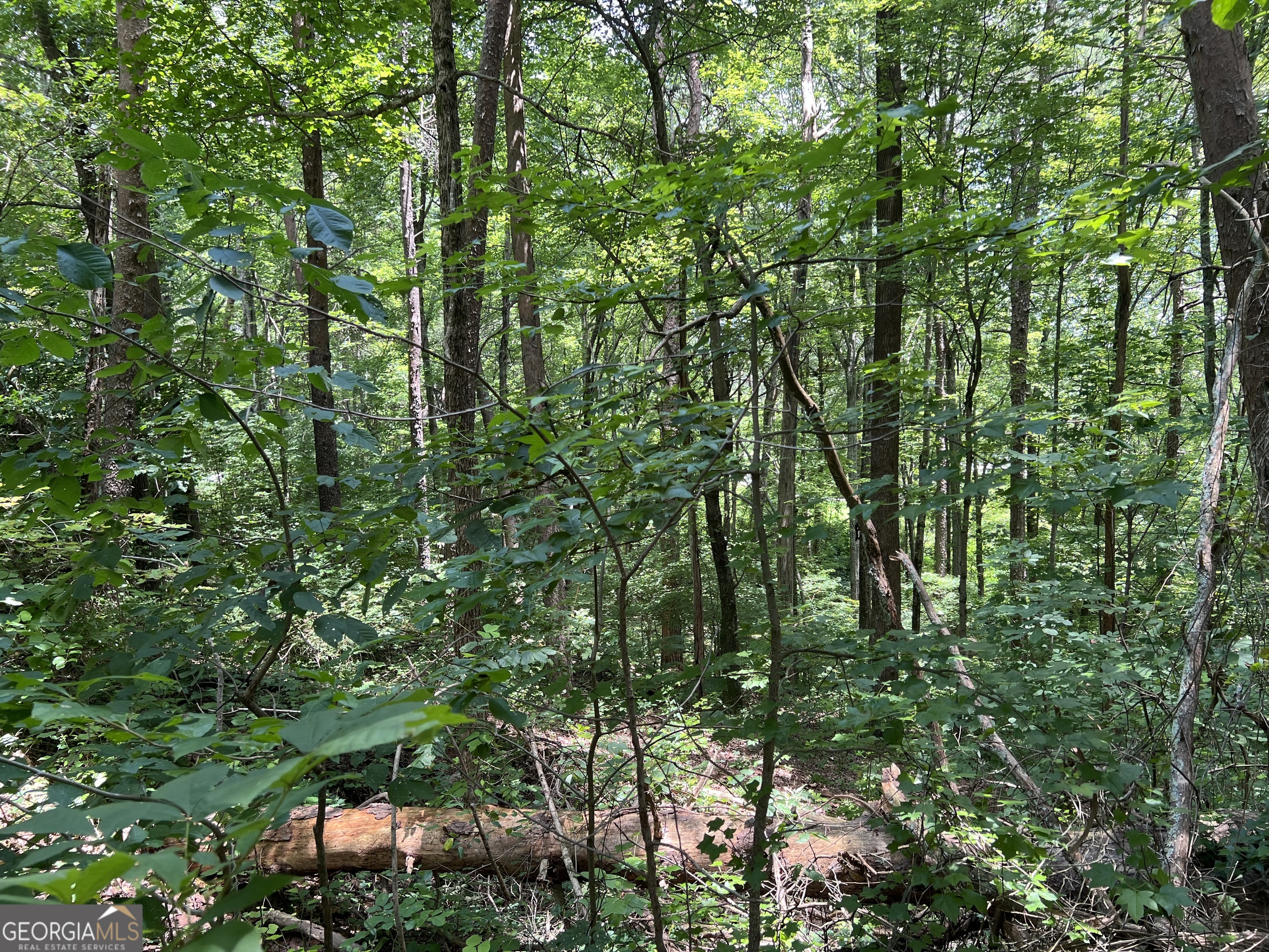 0 Lavender Trail Property Photo 24