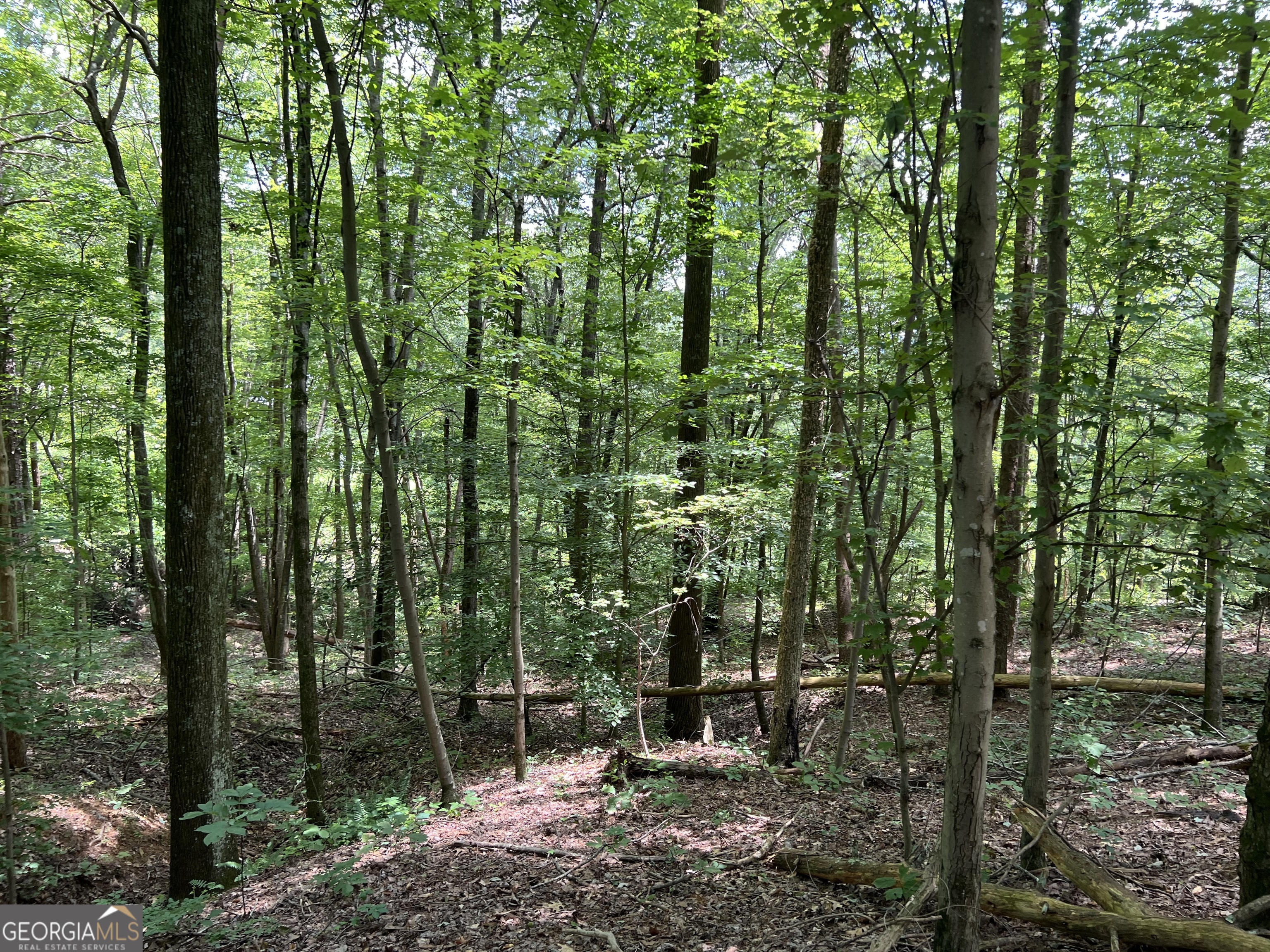 0 Lavender Trail Property Photo 27