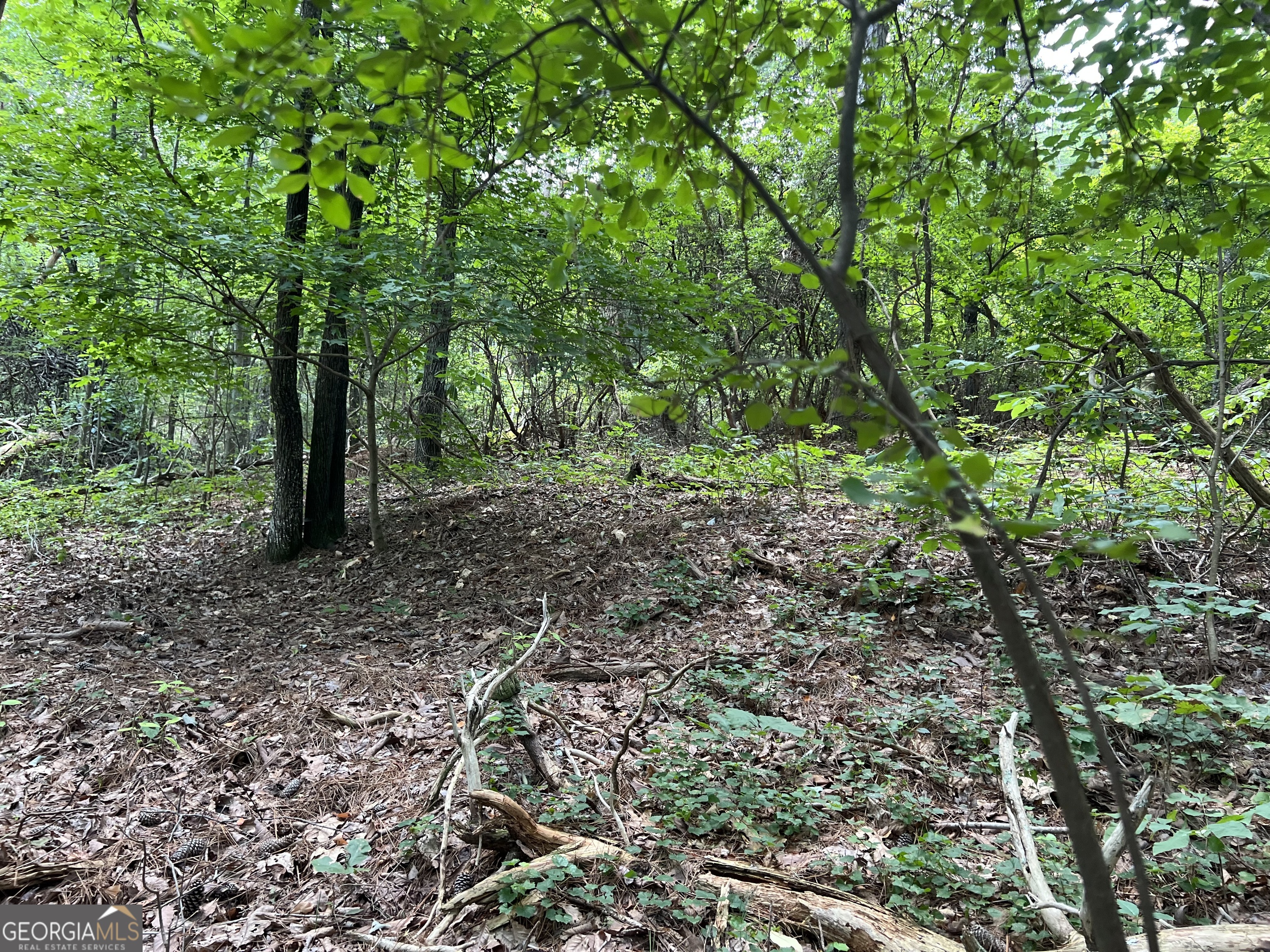 0 Lavender Trail Property Photo 28