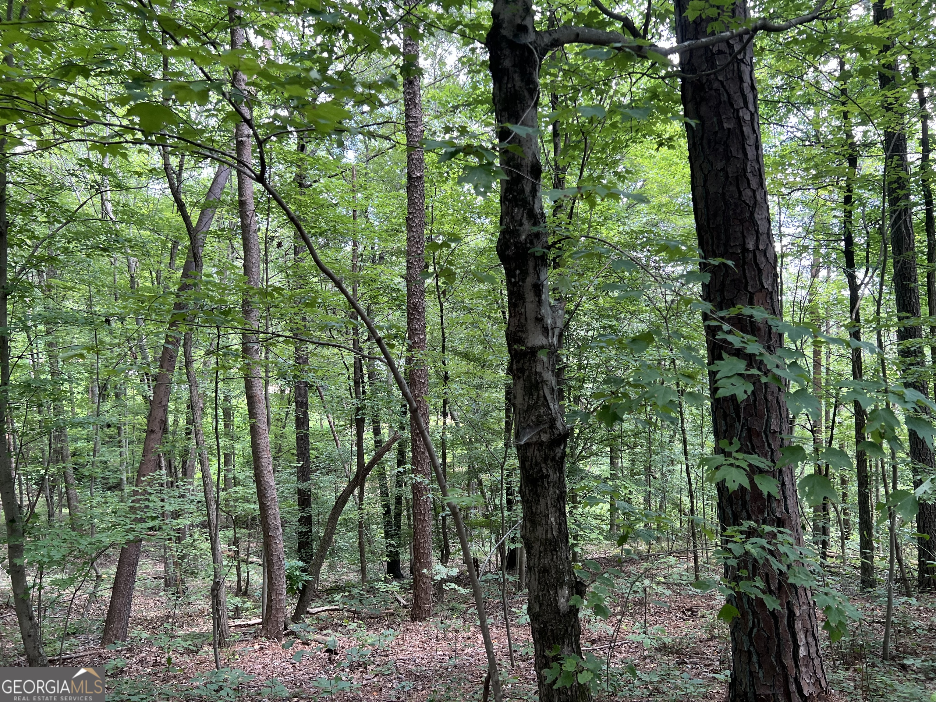0 Lavender Trail Property Photo 29