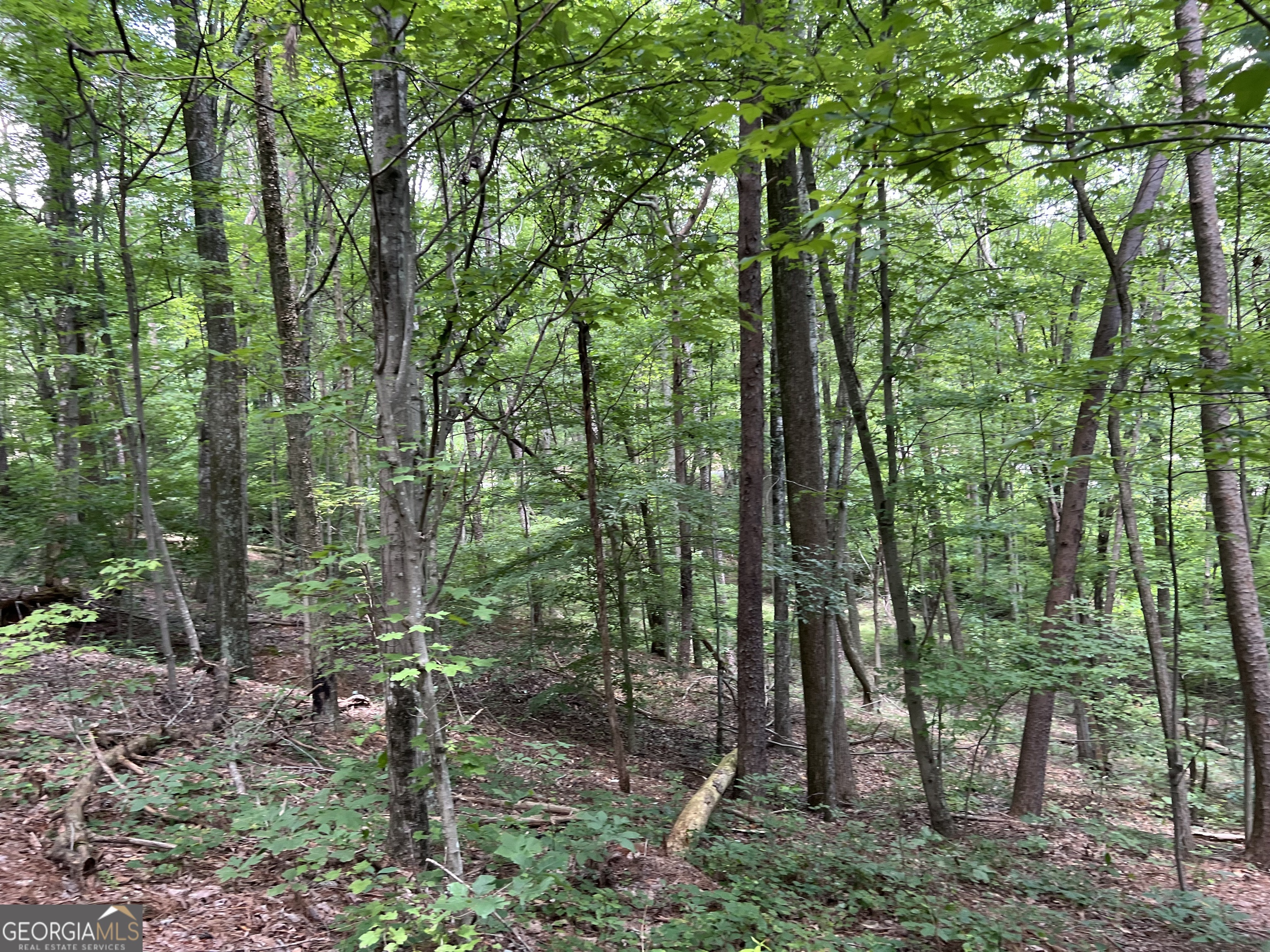 0 Lavender Trail Property Photo 30