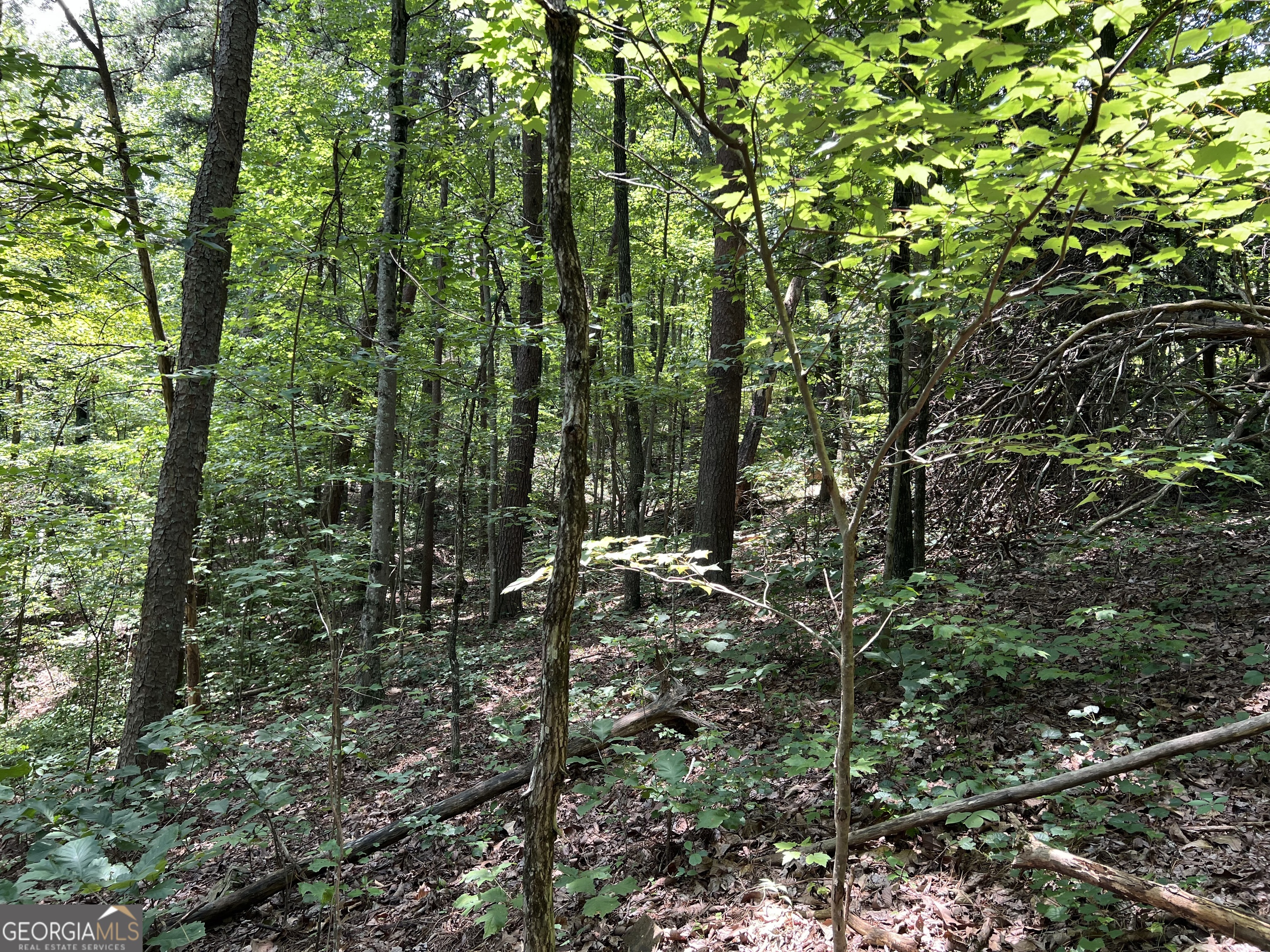 0 Lavender Trail Property Photo 31
