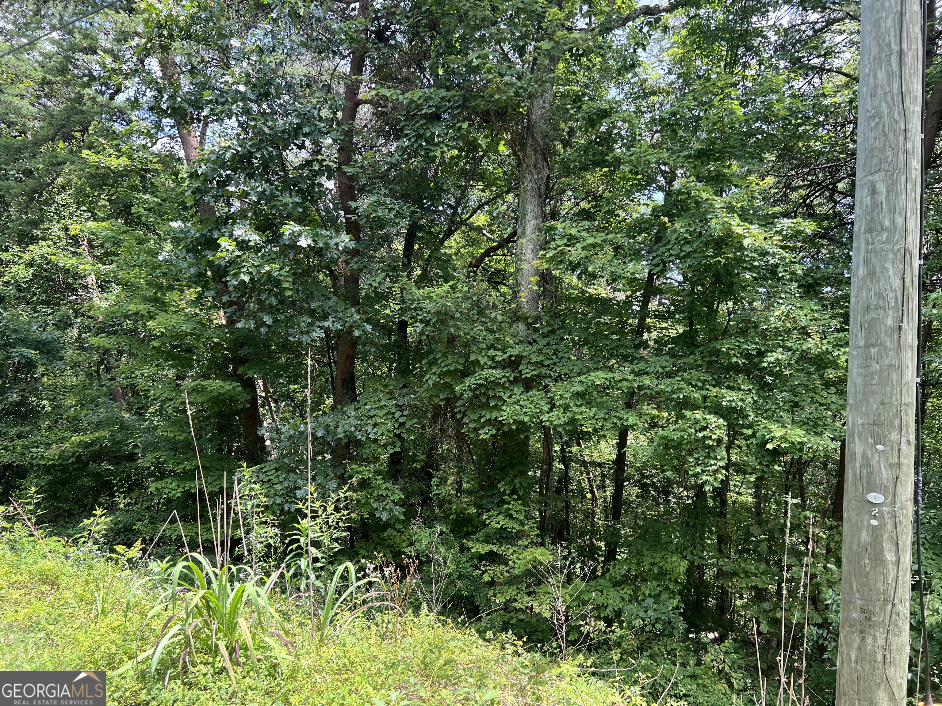 0 Lavender Trail Property Photo 32