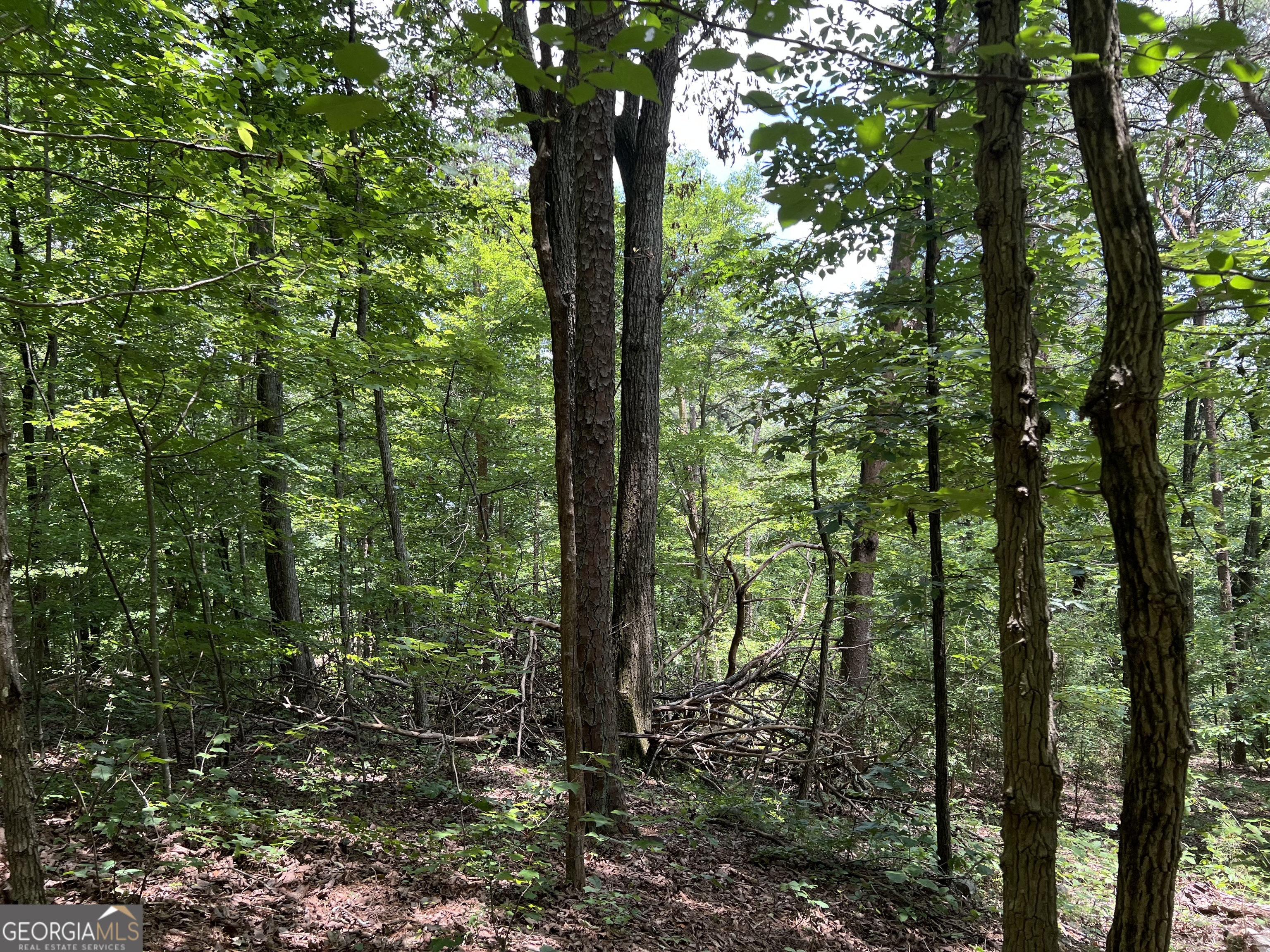 0 Lavender Trail Property Photo 33