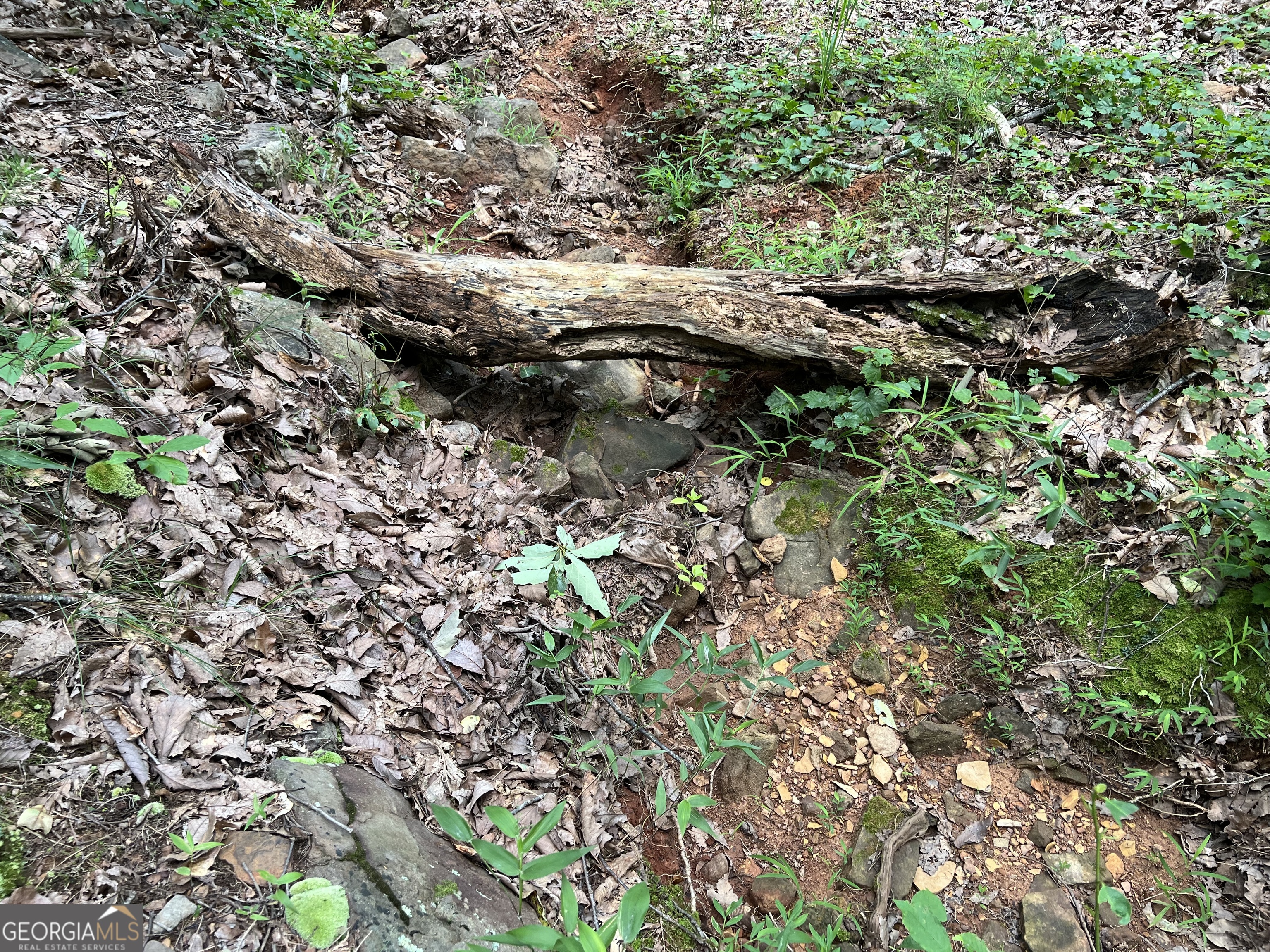 0 Lavender Trail Property Photo 34