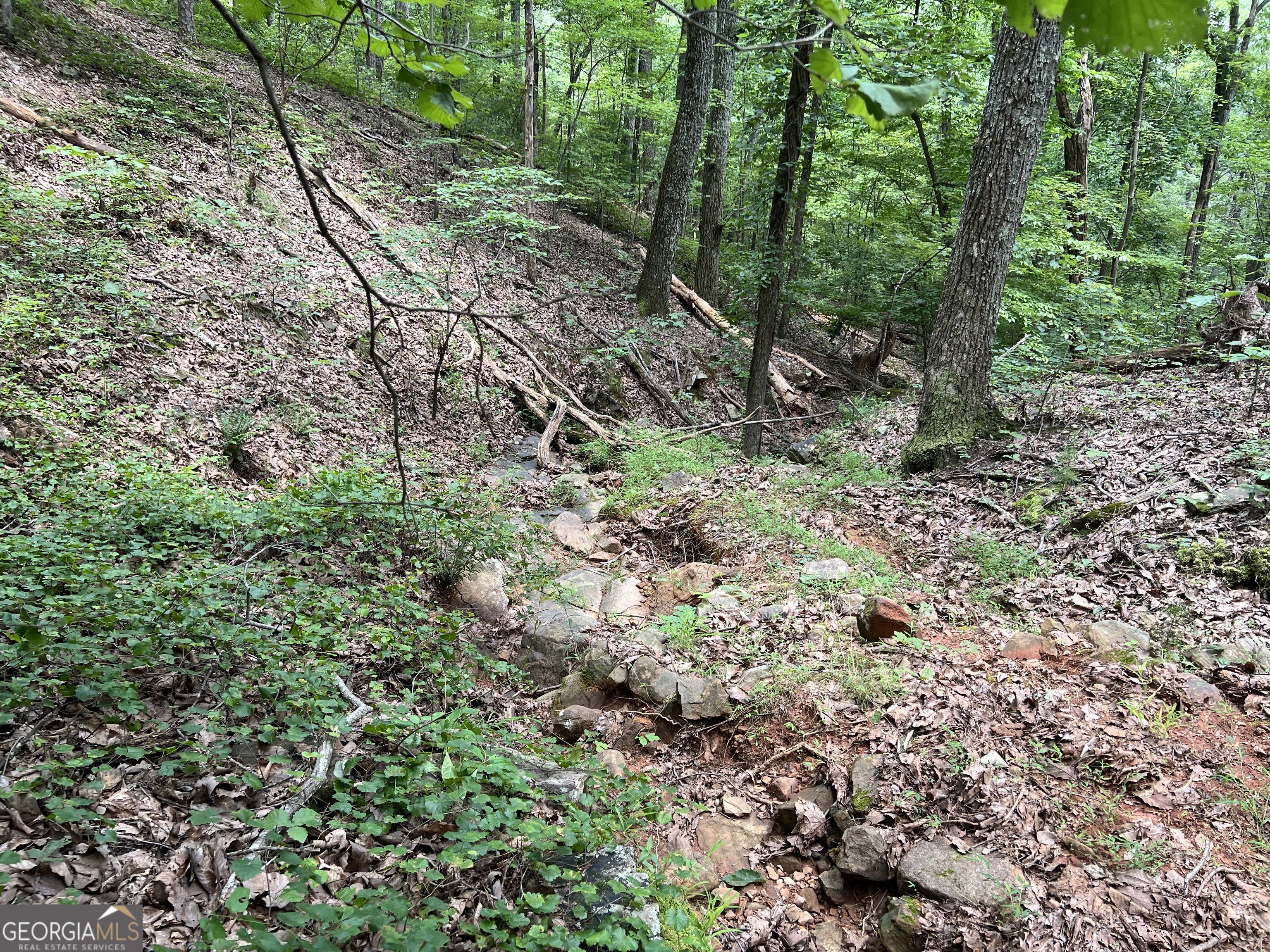 0 Lavender Trail Property Photo 35