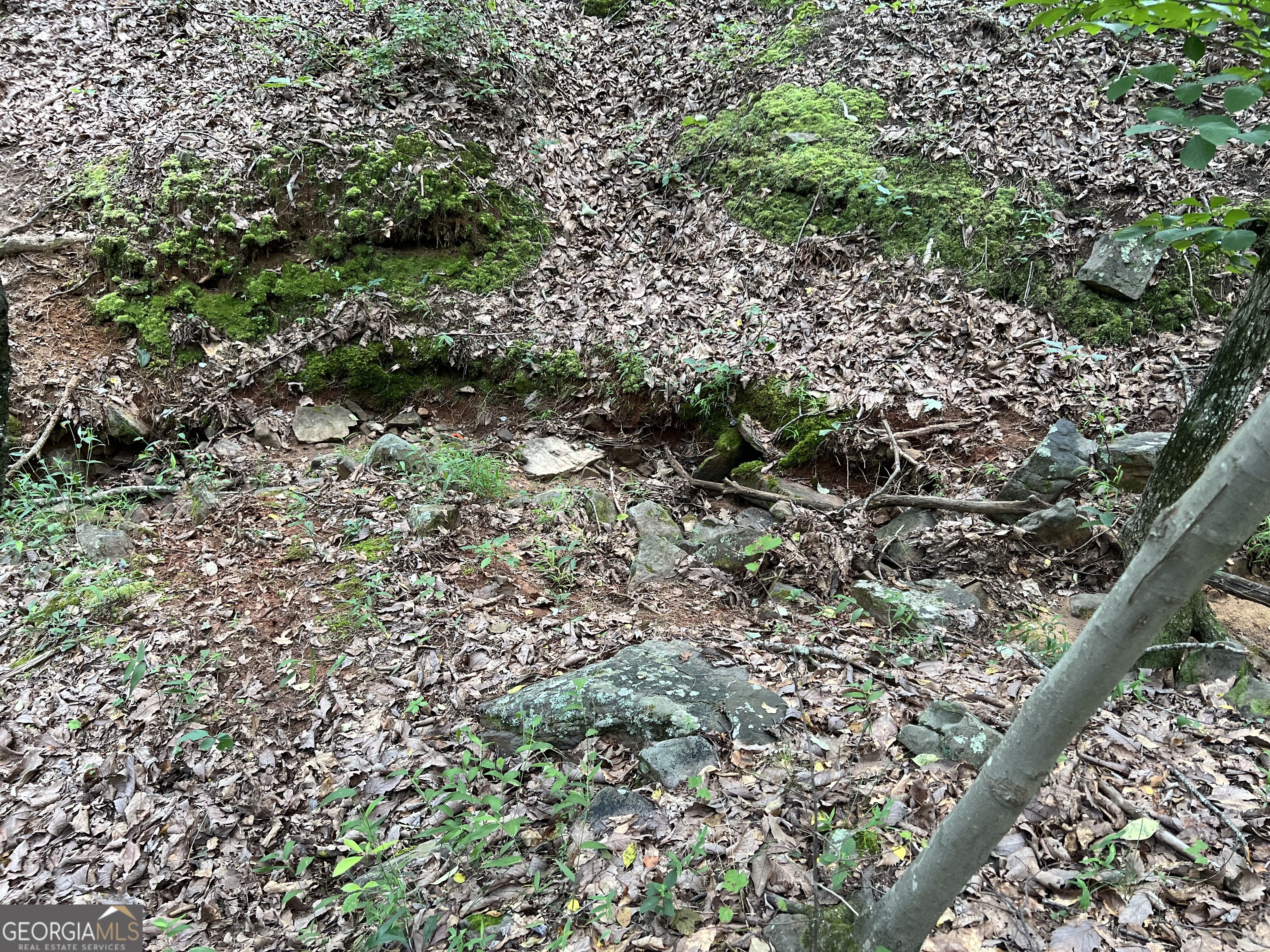 0 Lavender Trail Property Photo 36
