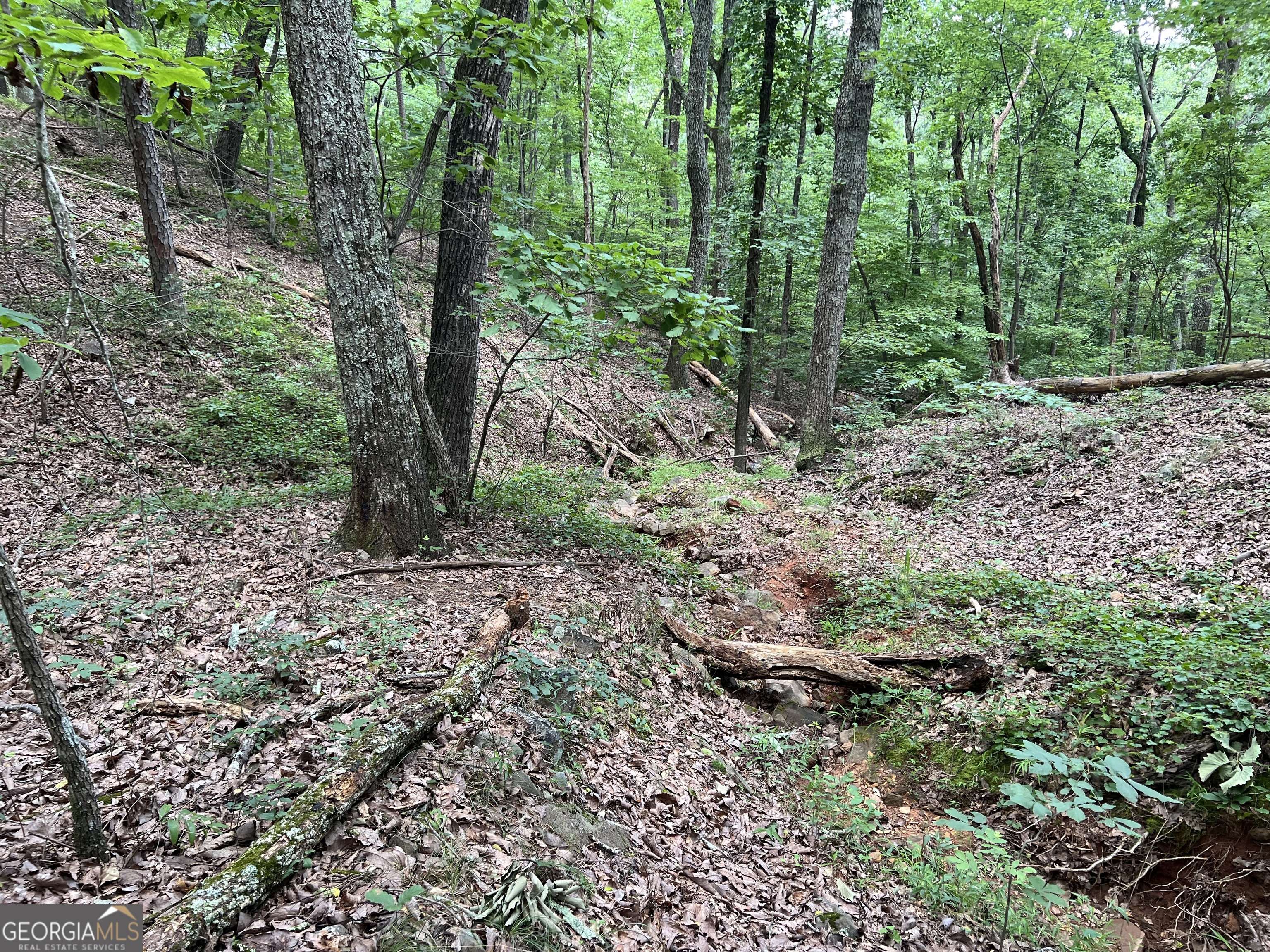 0 Lavender Trail Property Photo 38