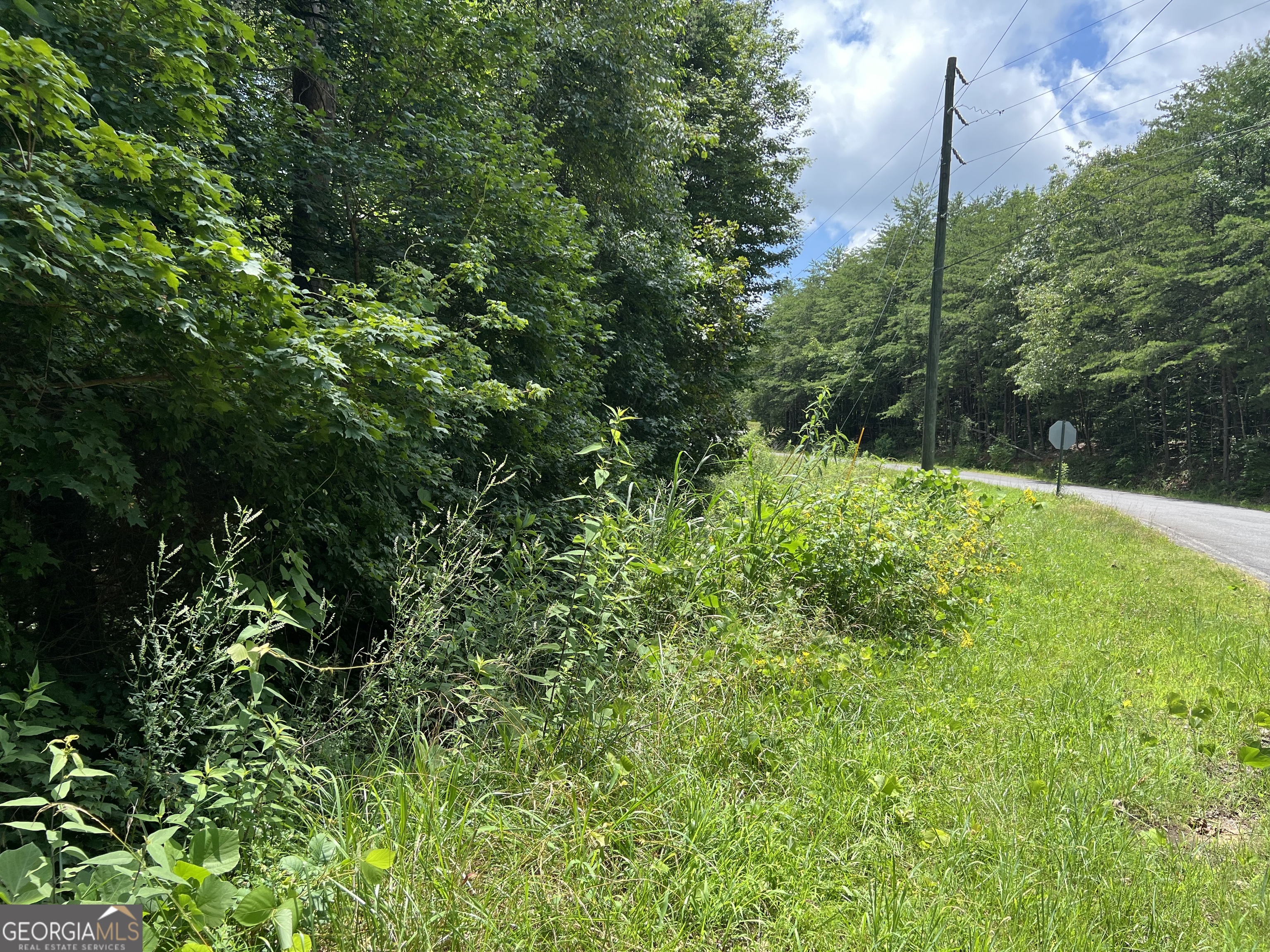 0 Lavender Trail Property Photo 41