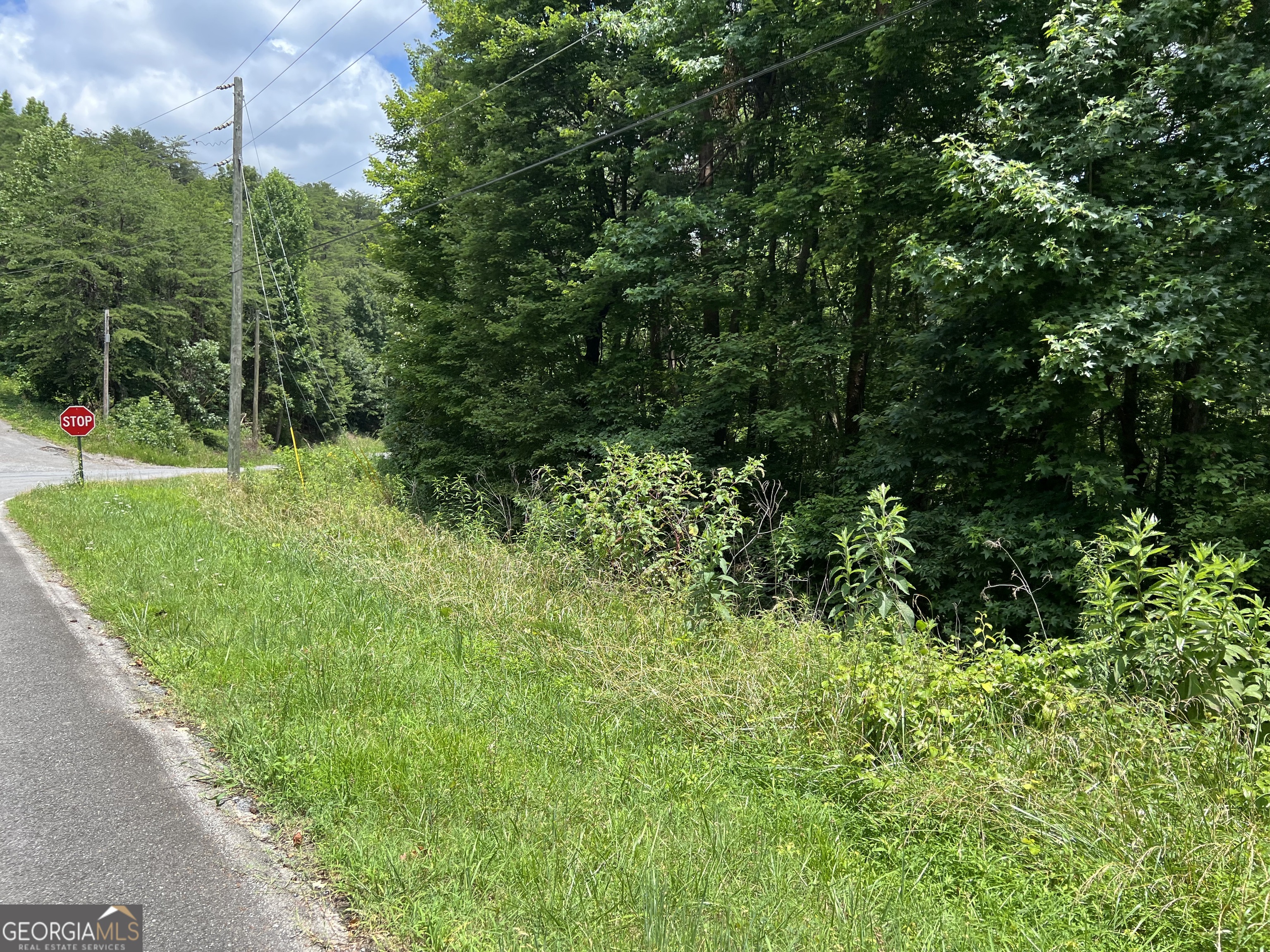 0 Lavender Trail Property Photo 42