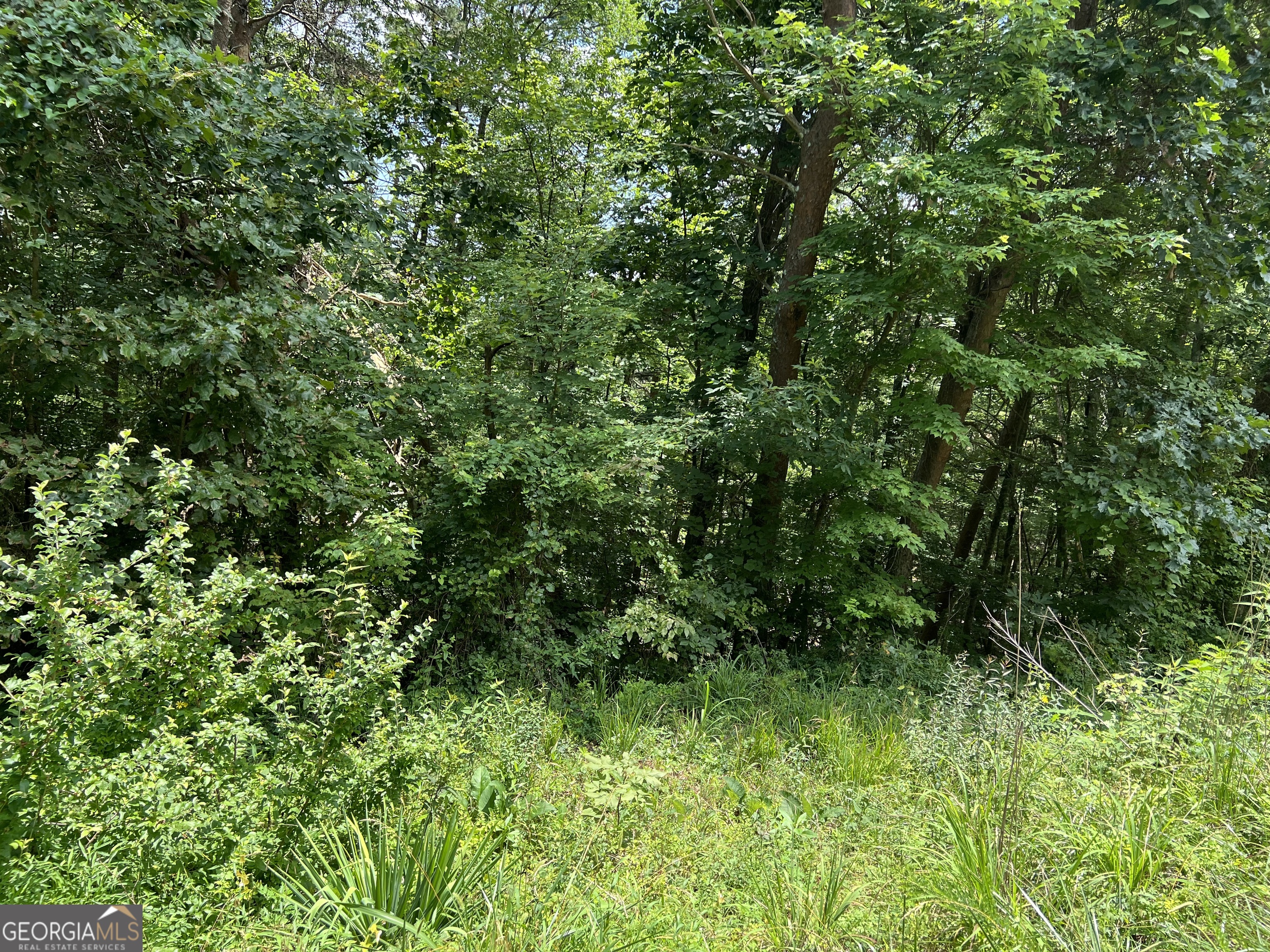 0 Lavender Trail Property Photo 47