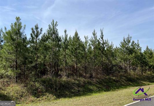 Lot 1 Whitfield Road Property Photo 1