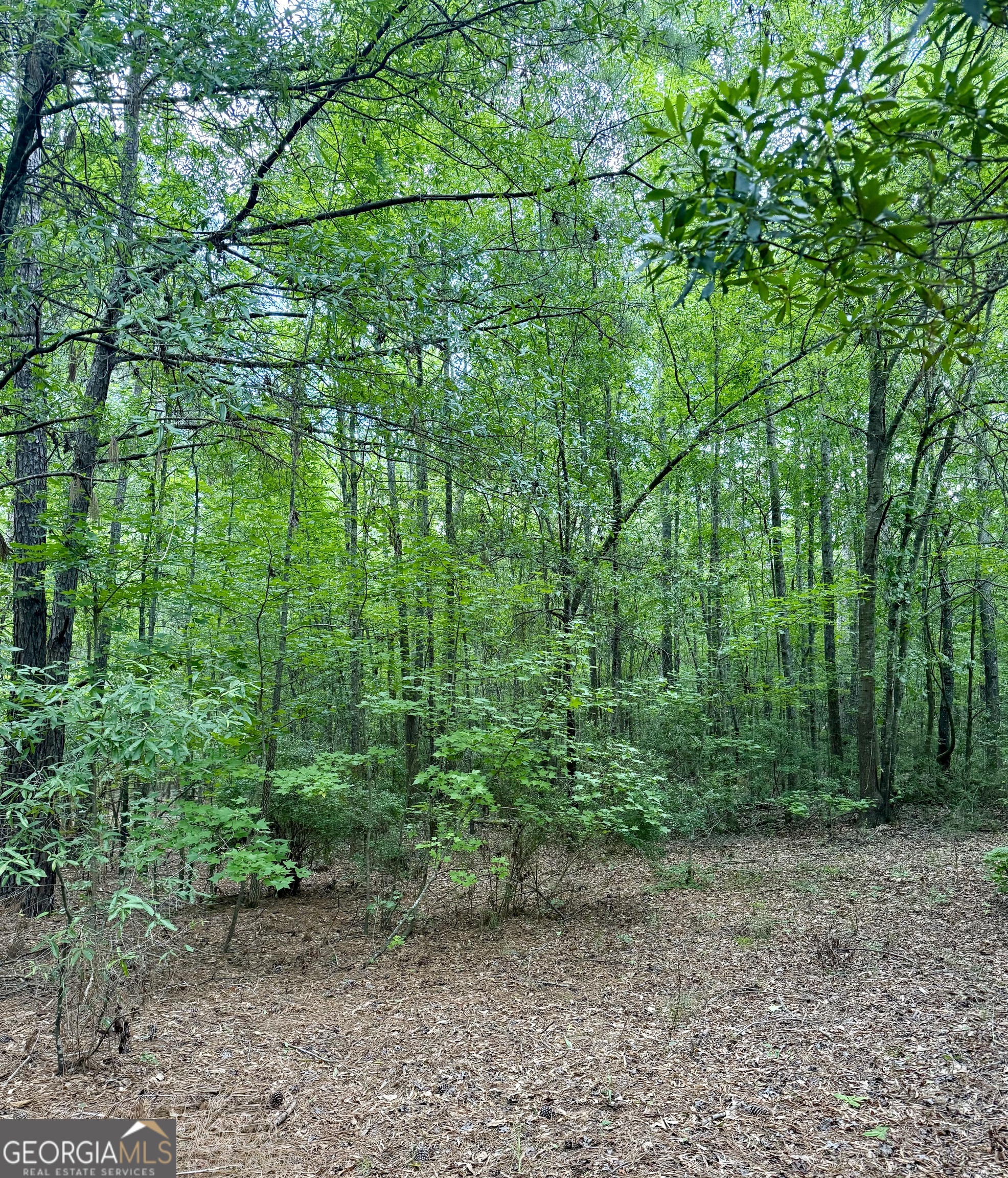 1006 Old Louisville Road Property Photo 1