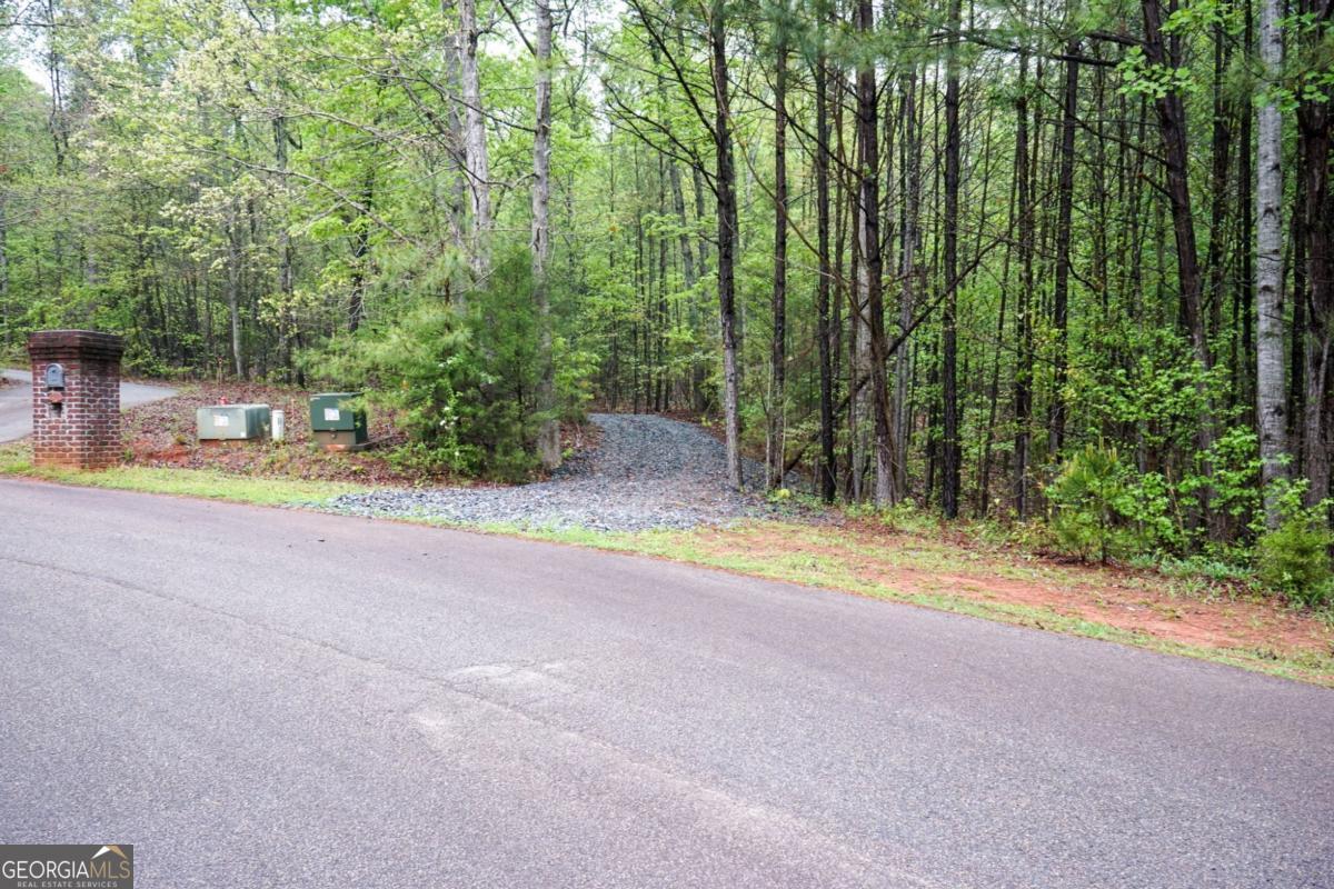 0 Maple Valley Drive Property Photo 1