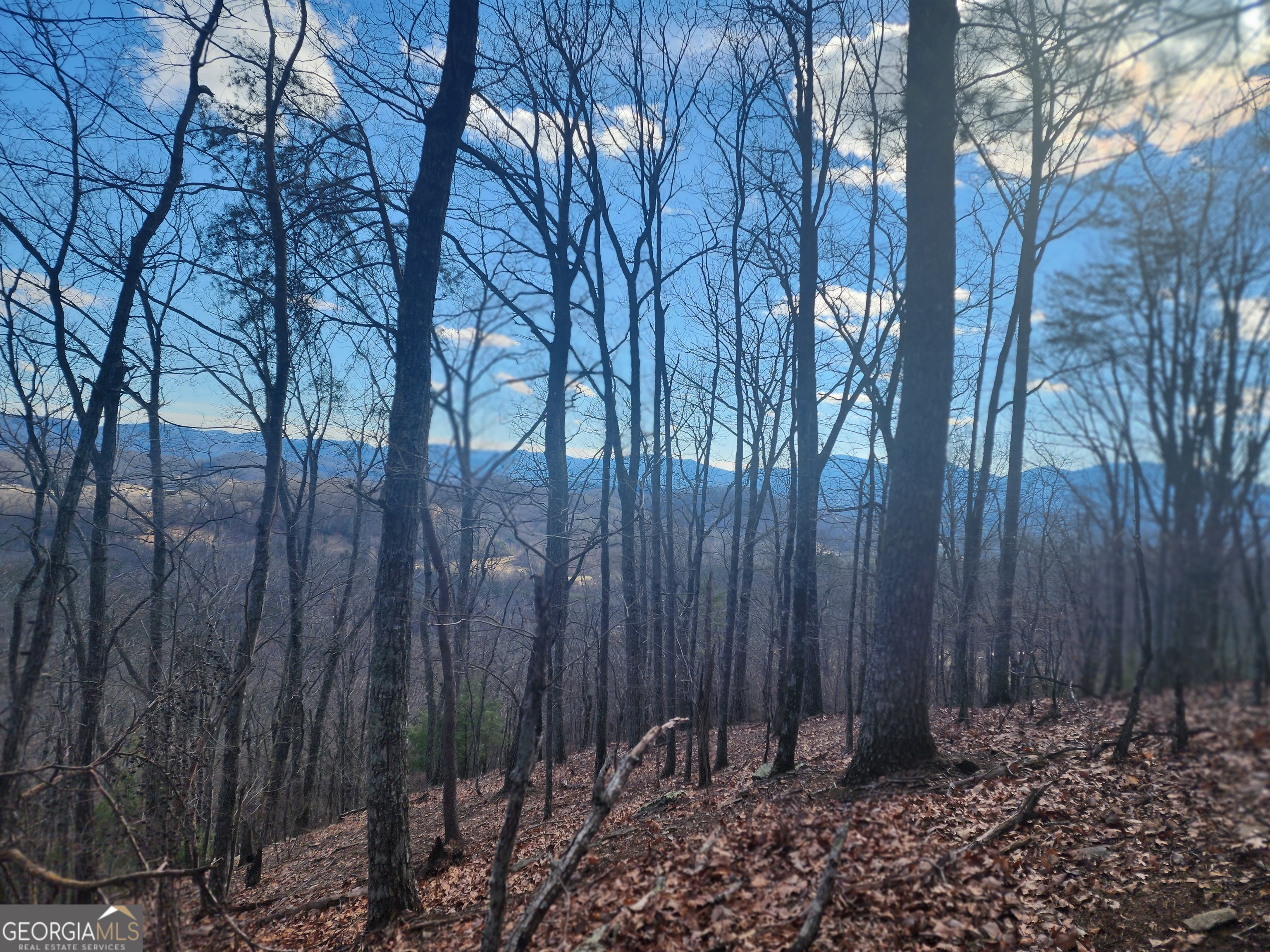 0 Trackrock Gap Road Property Photo 1