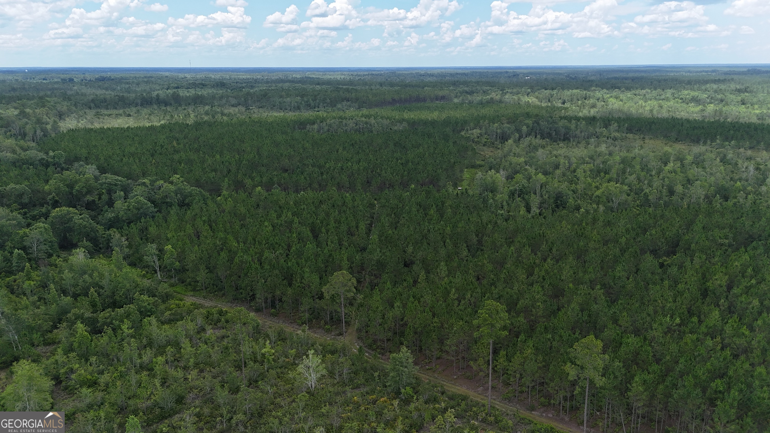 0 Fire Tower Road Property Photo 3