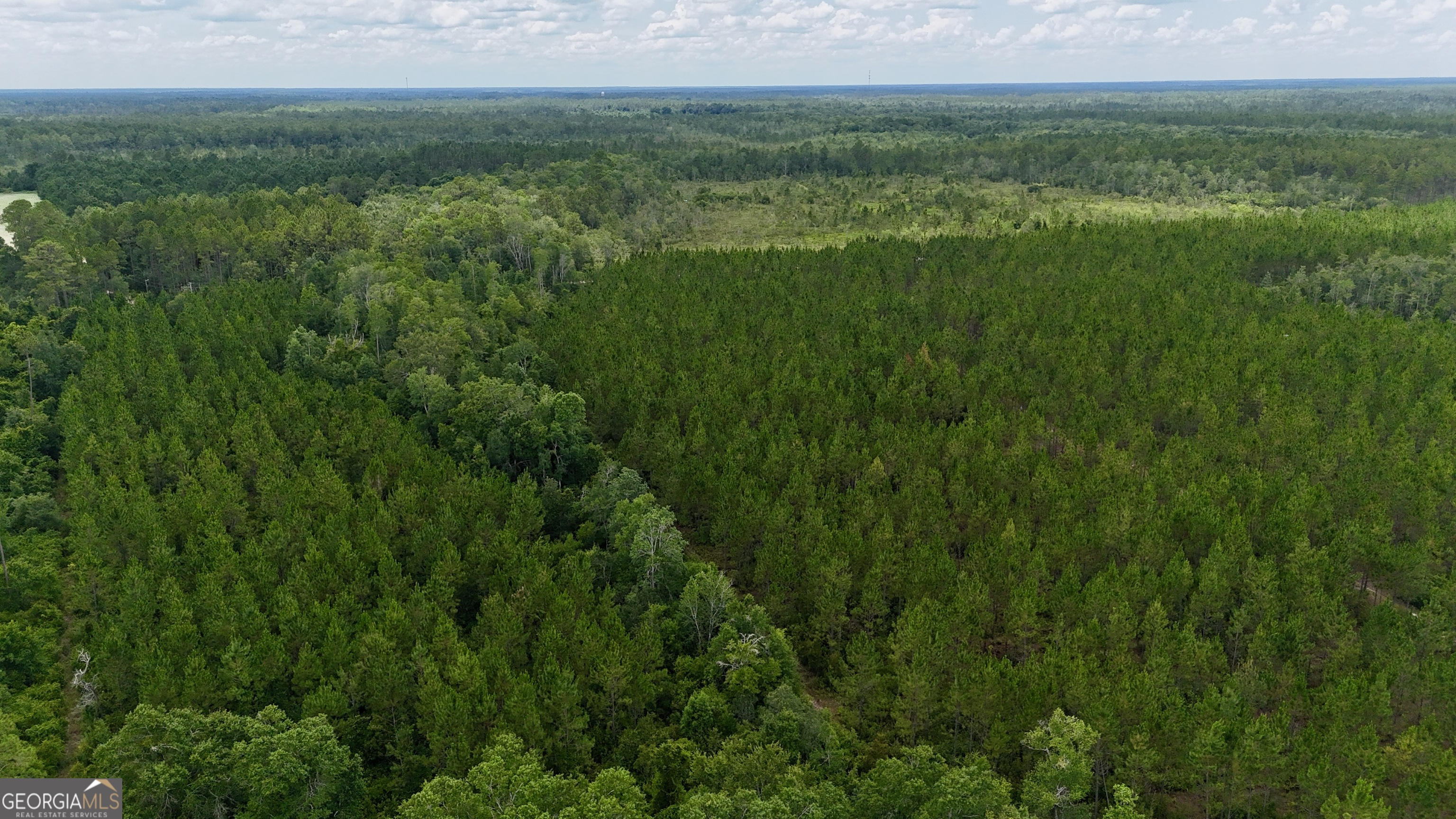 0 Fire Tower Road Property Photo 4