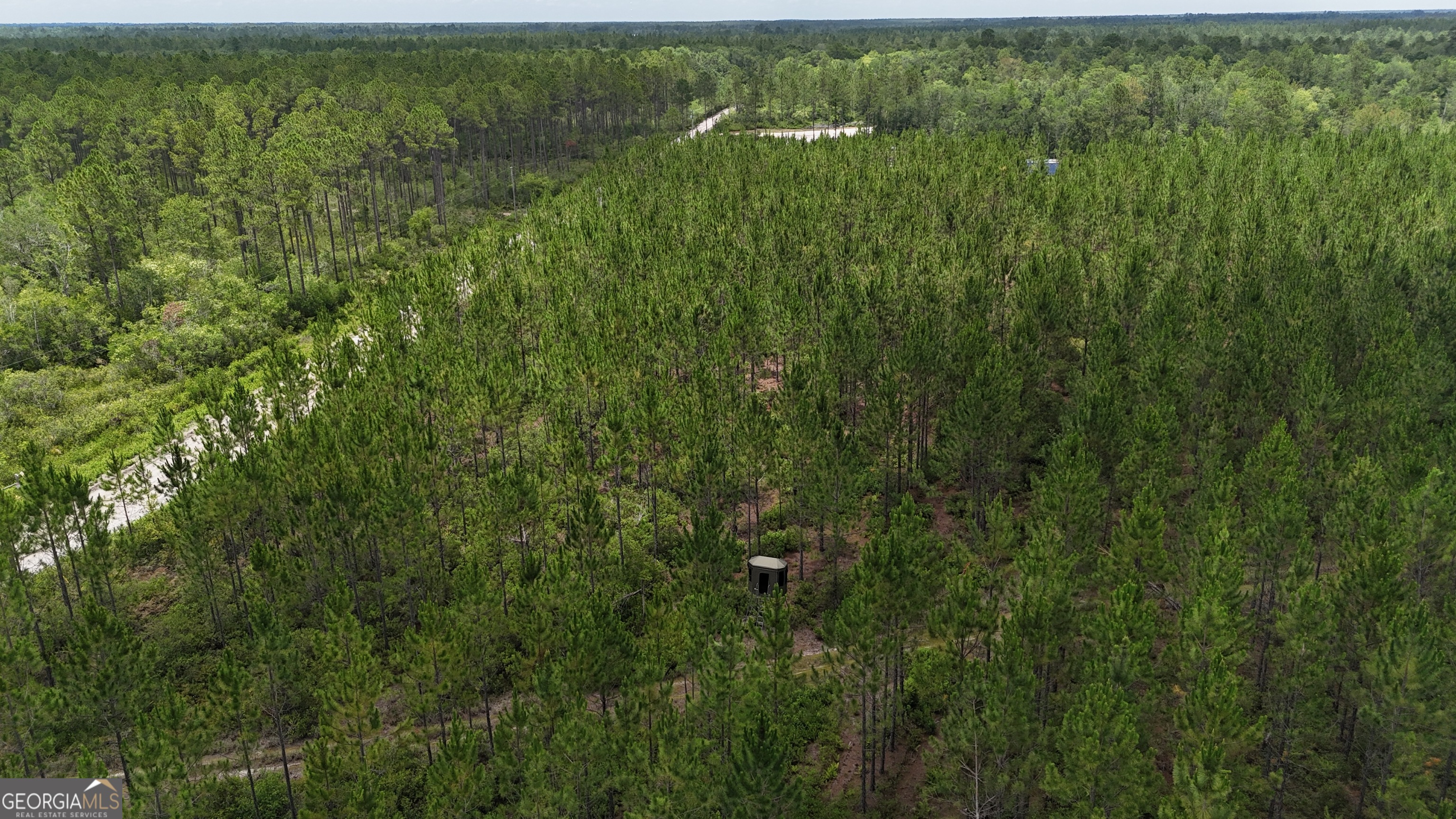 0 Fire Tower Road Property Photo 5