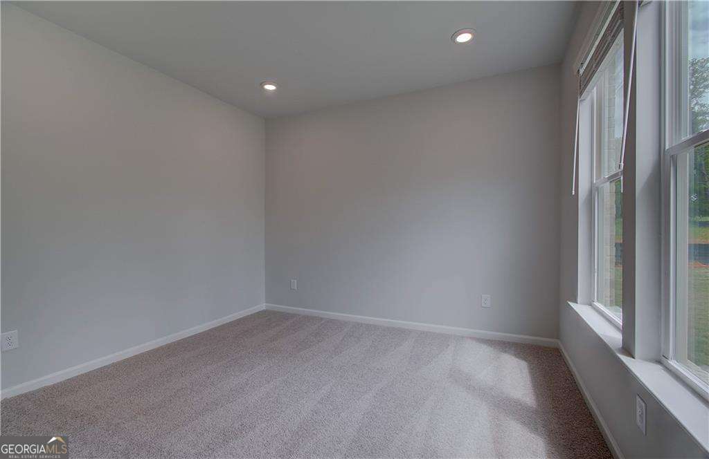 185 Haverling Pass Property Photo 21