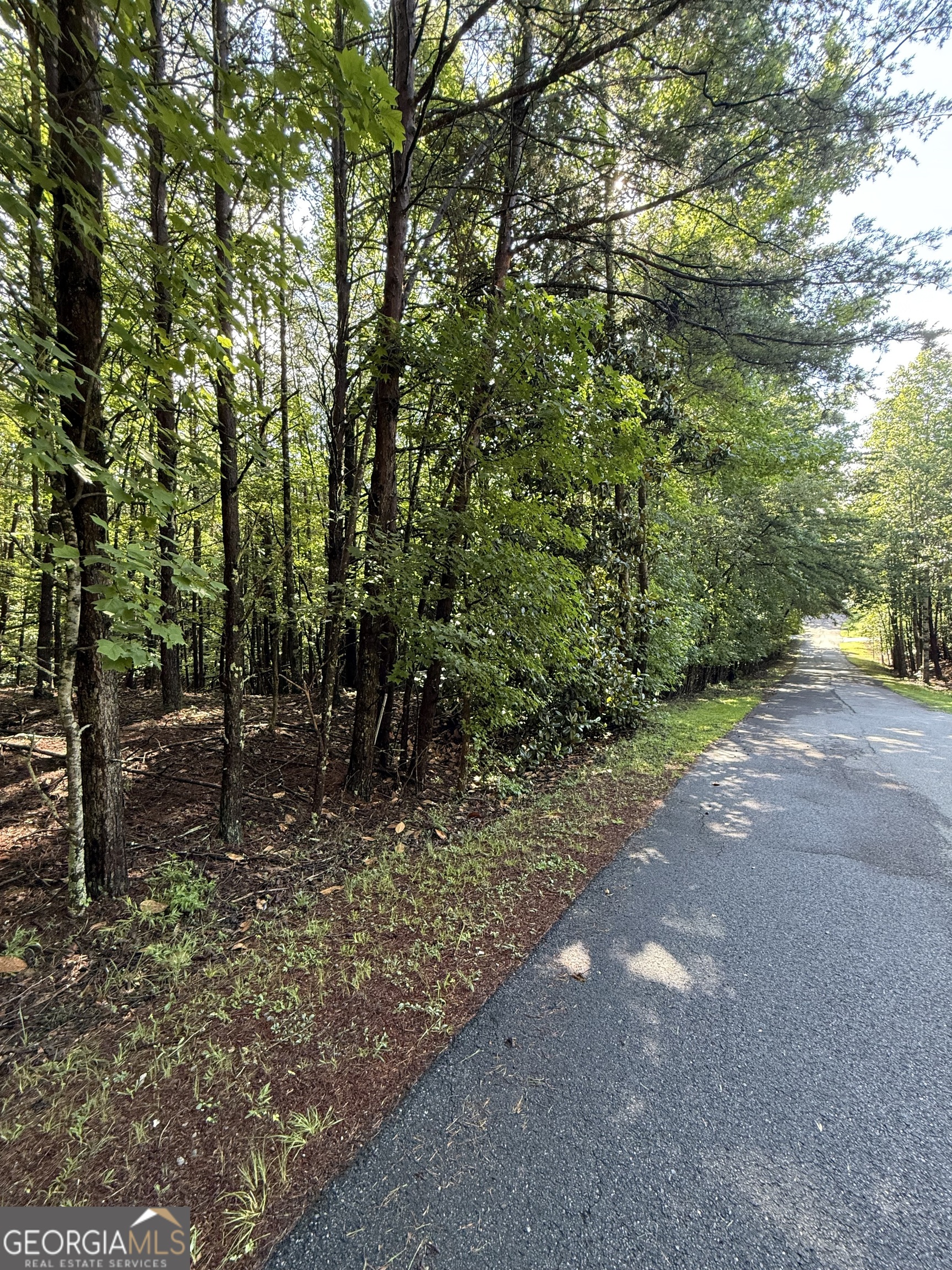 Lot 4 Marci Lane Property Photo 1