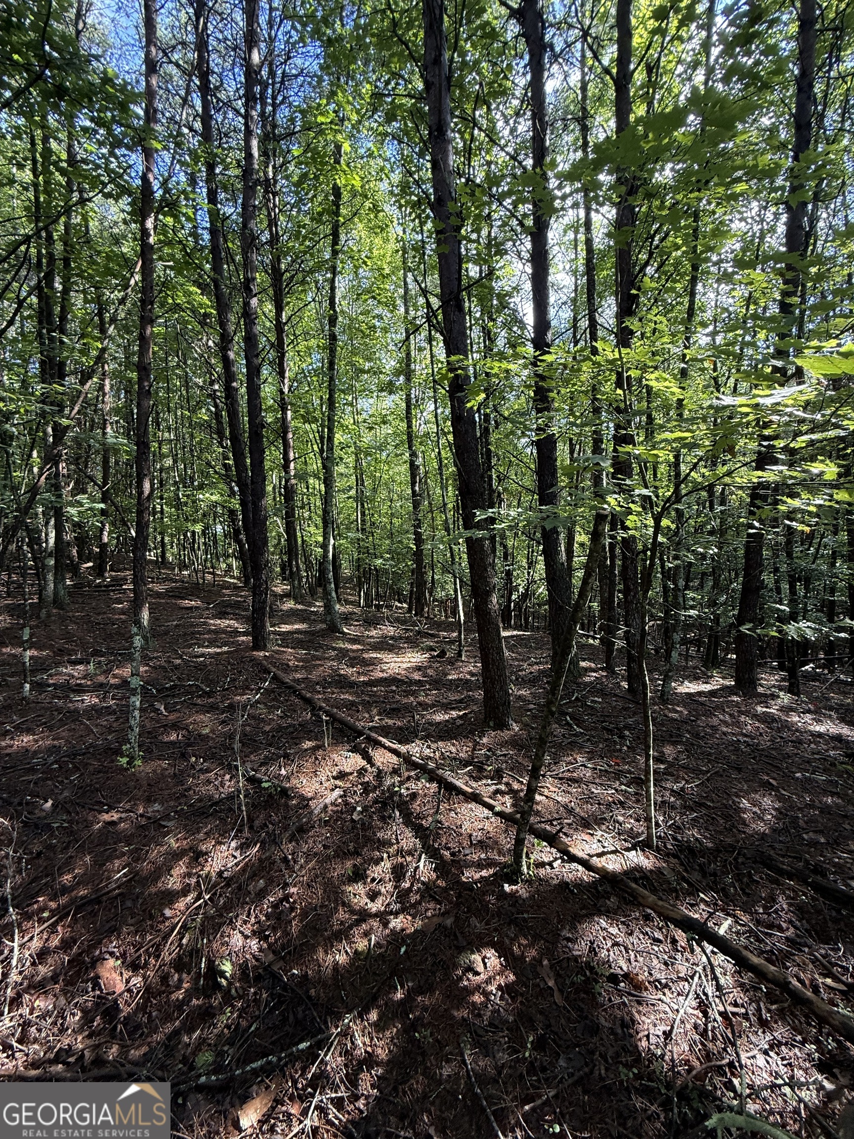 Lot 5 Marci Lane Property Photo 1