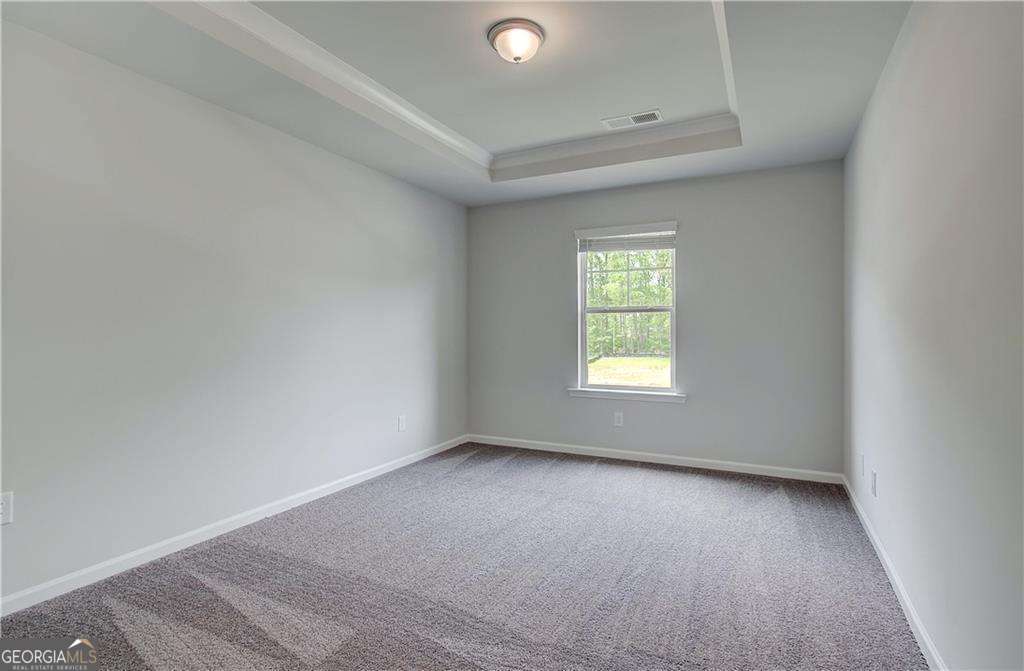197 Haverling Pass Property Photo 22