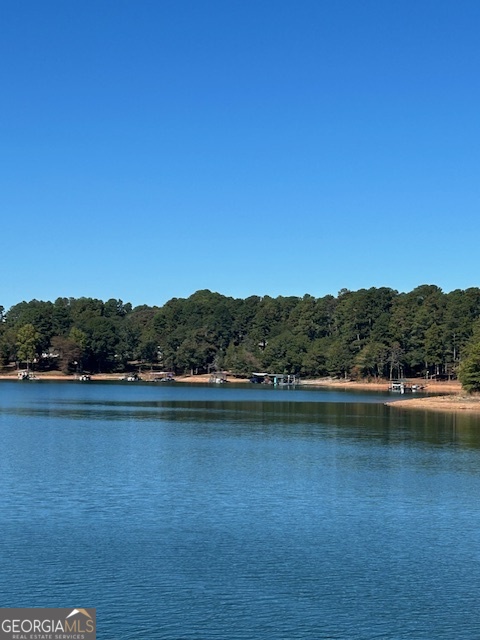 2375 Reed Creek Highway Property Photo 3
