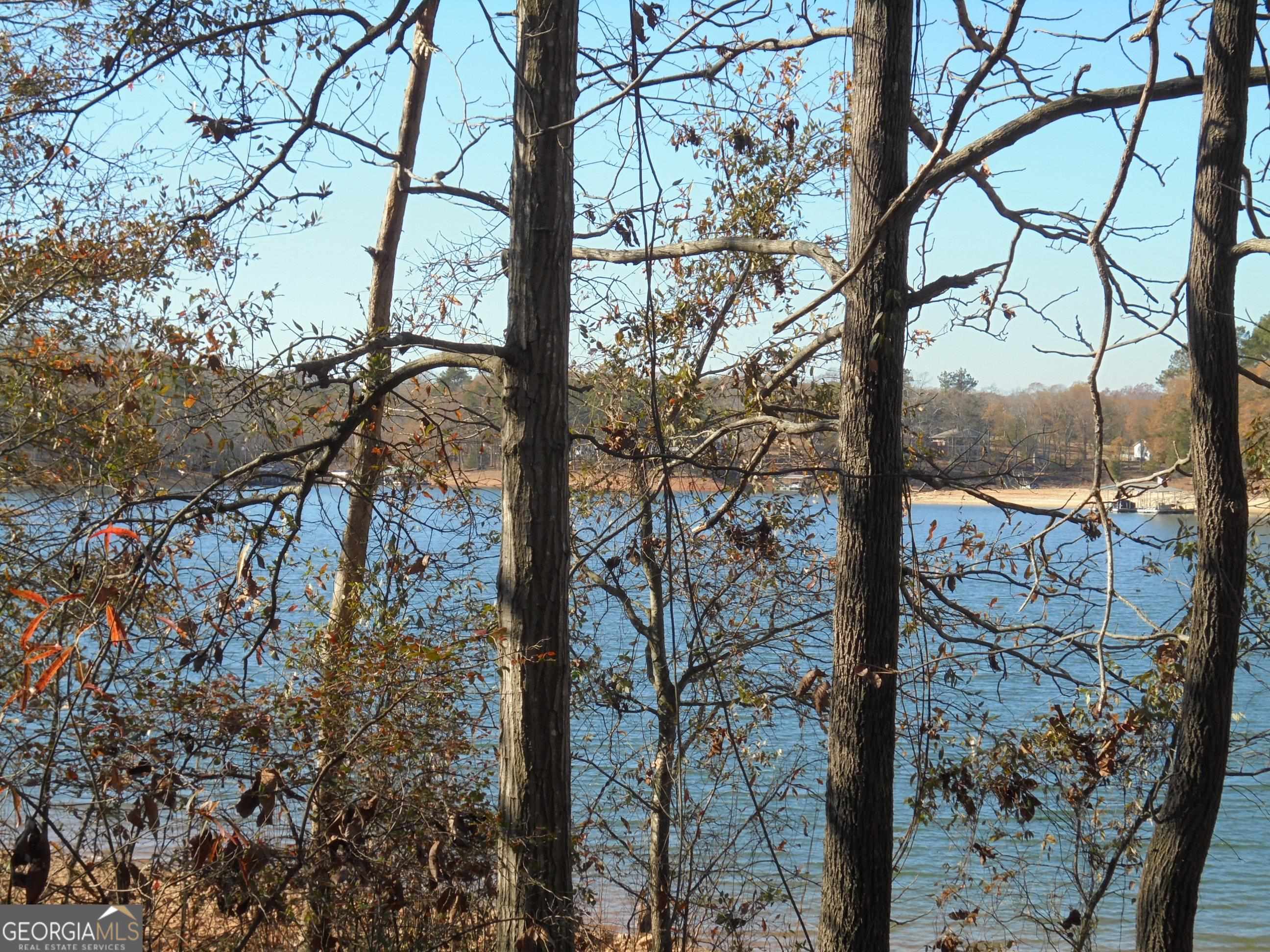 2375 Reed Creek Highway Property Photo 7