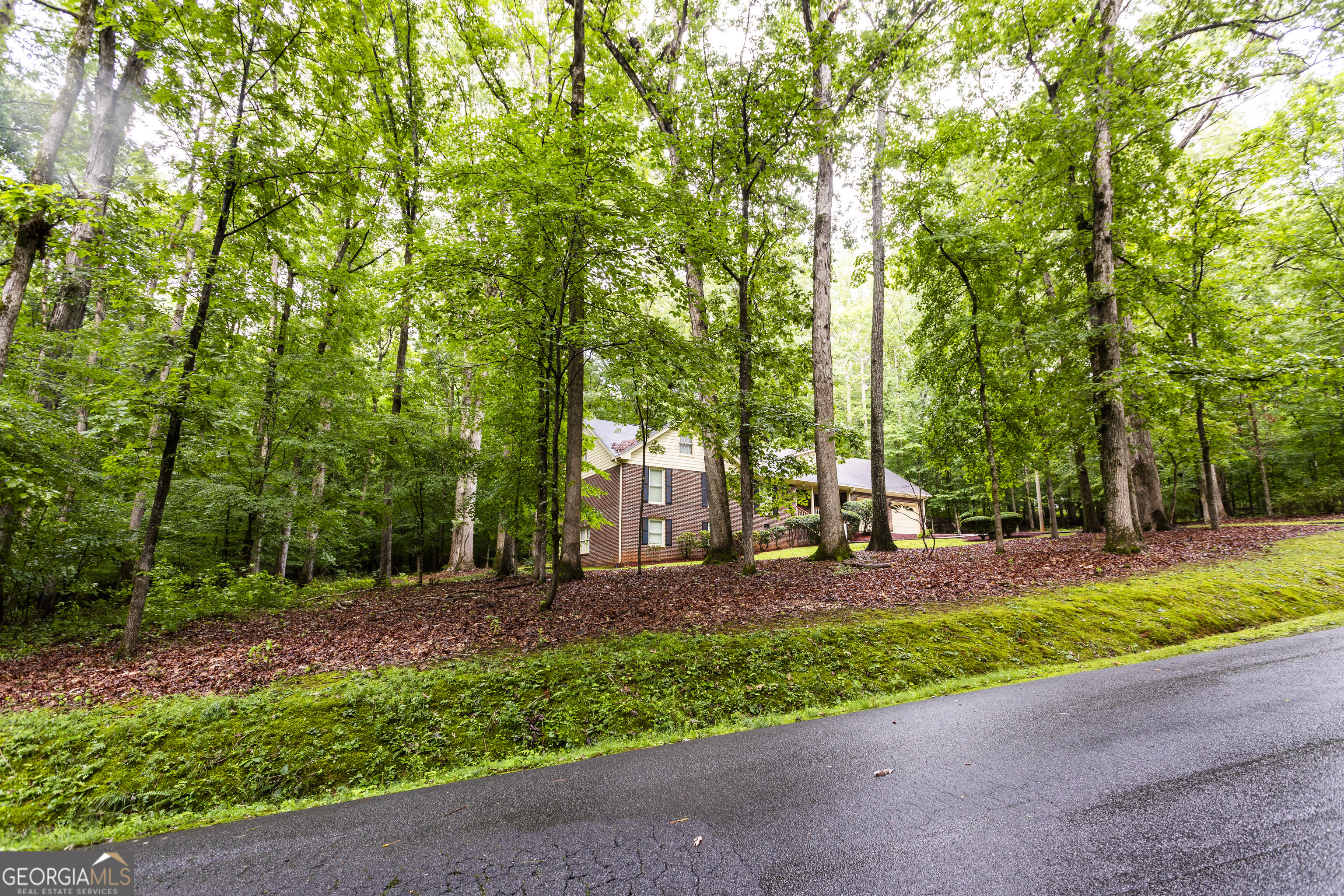 45 Mountain Creek Trail Property Photo 6