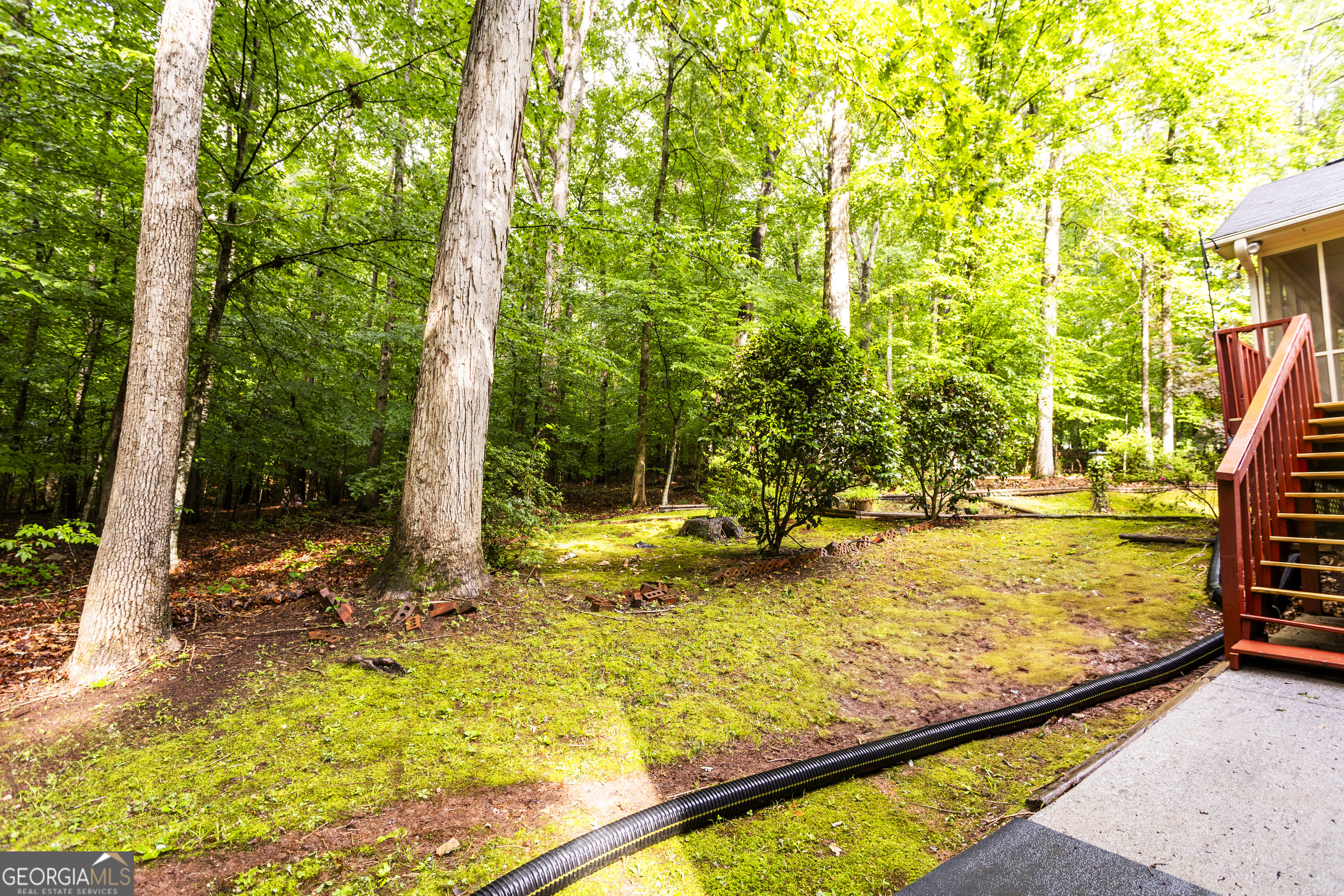 45 Mountain Creek Trail Property Photo 49