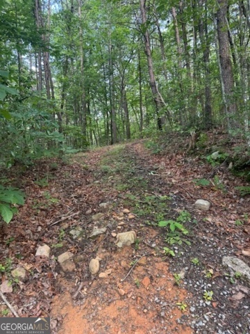 10.96 Ac Paramount Trail Property Photo 1