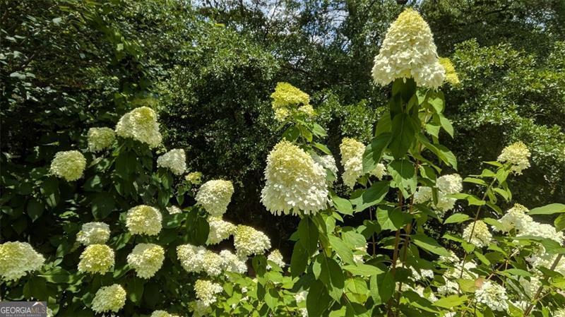 3157 Oakdale Road Property Photo 39