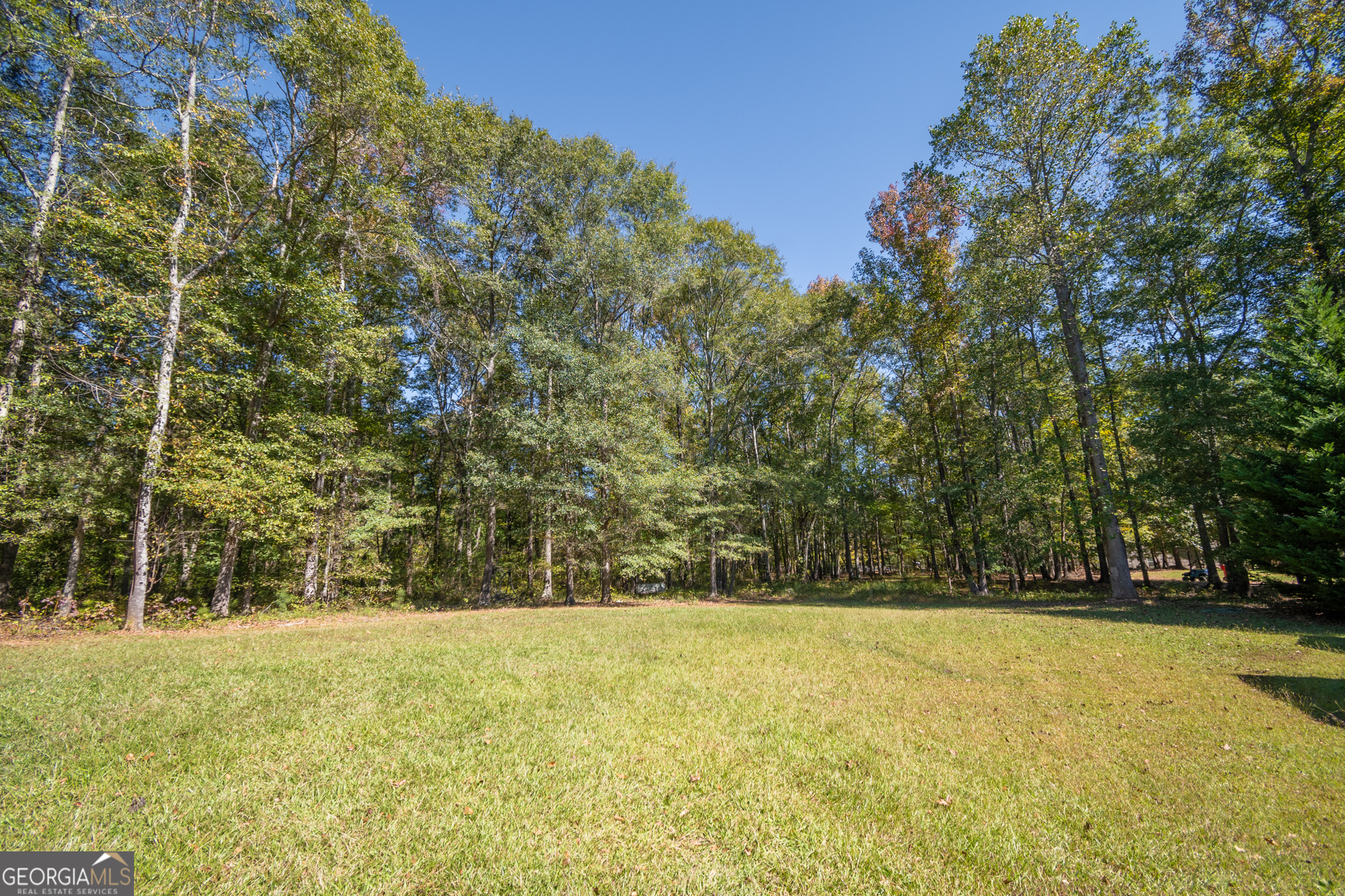 118 Mount Vernon Way Property Photo 49