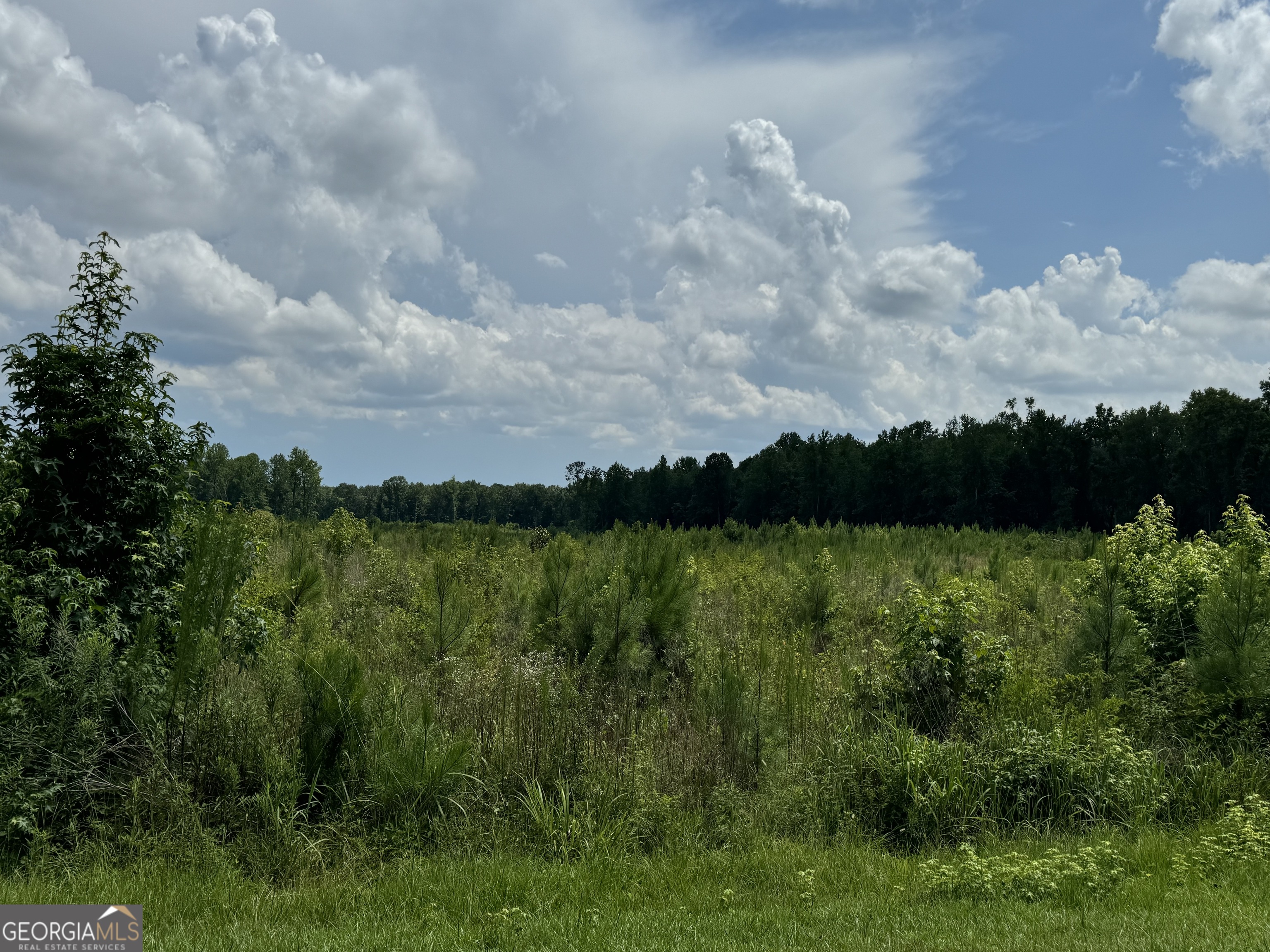 3854 Us Hwy 19 Property Photo 1