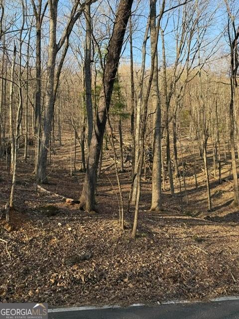 210 Windflower Drive Property Photo 1