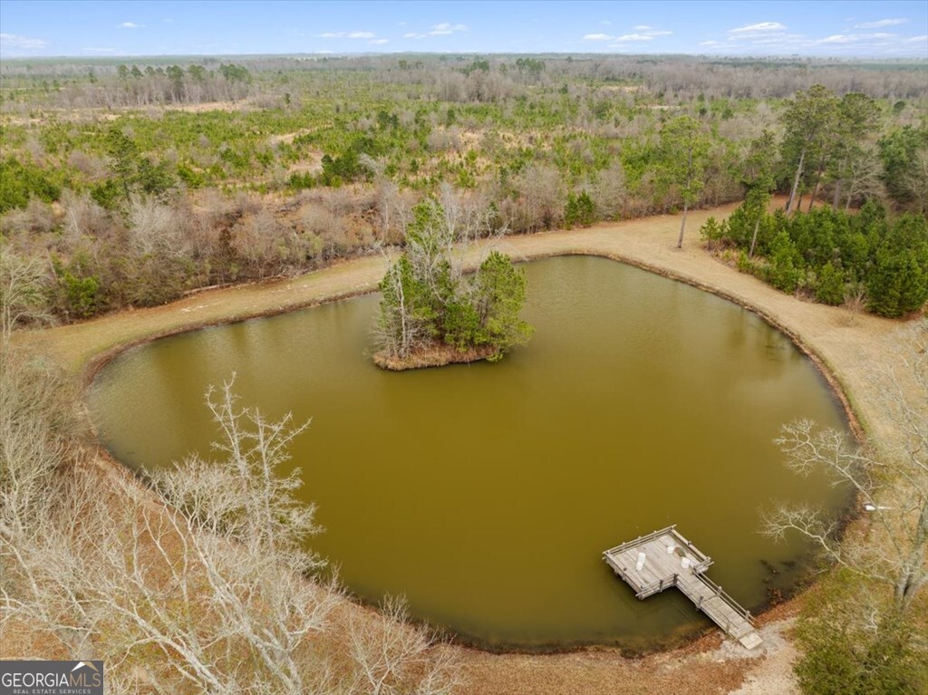 1156 Blue Springs Road Property Photo 1