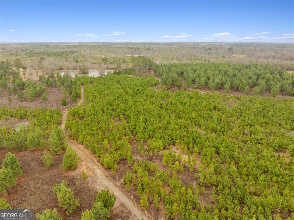 0 Blue Springs Property Photo 1